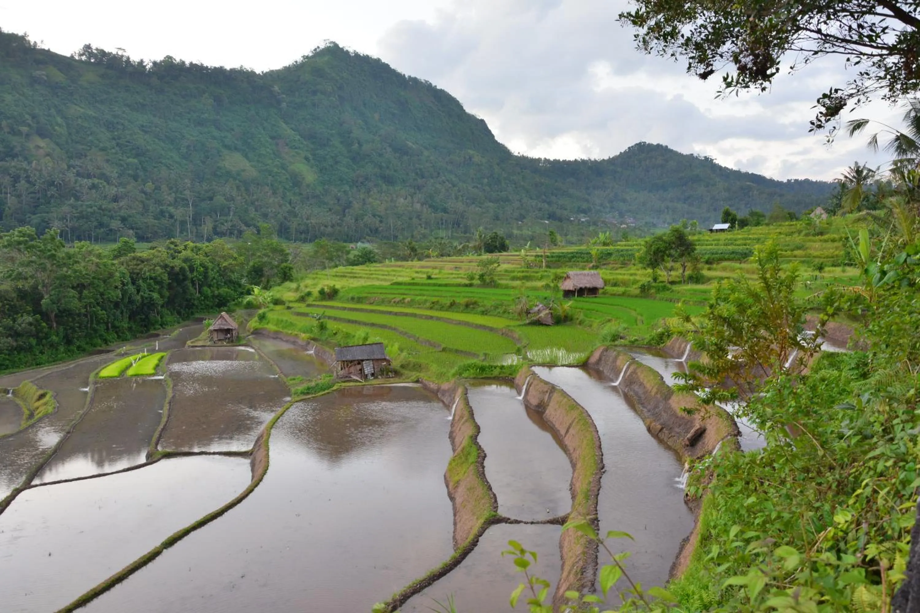 Area and facilities in Arta Nadi Villa