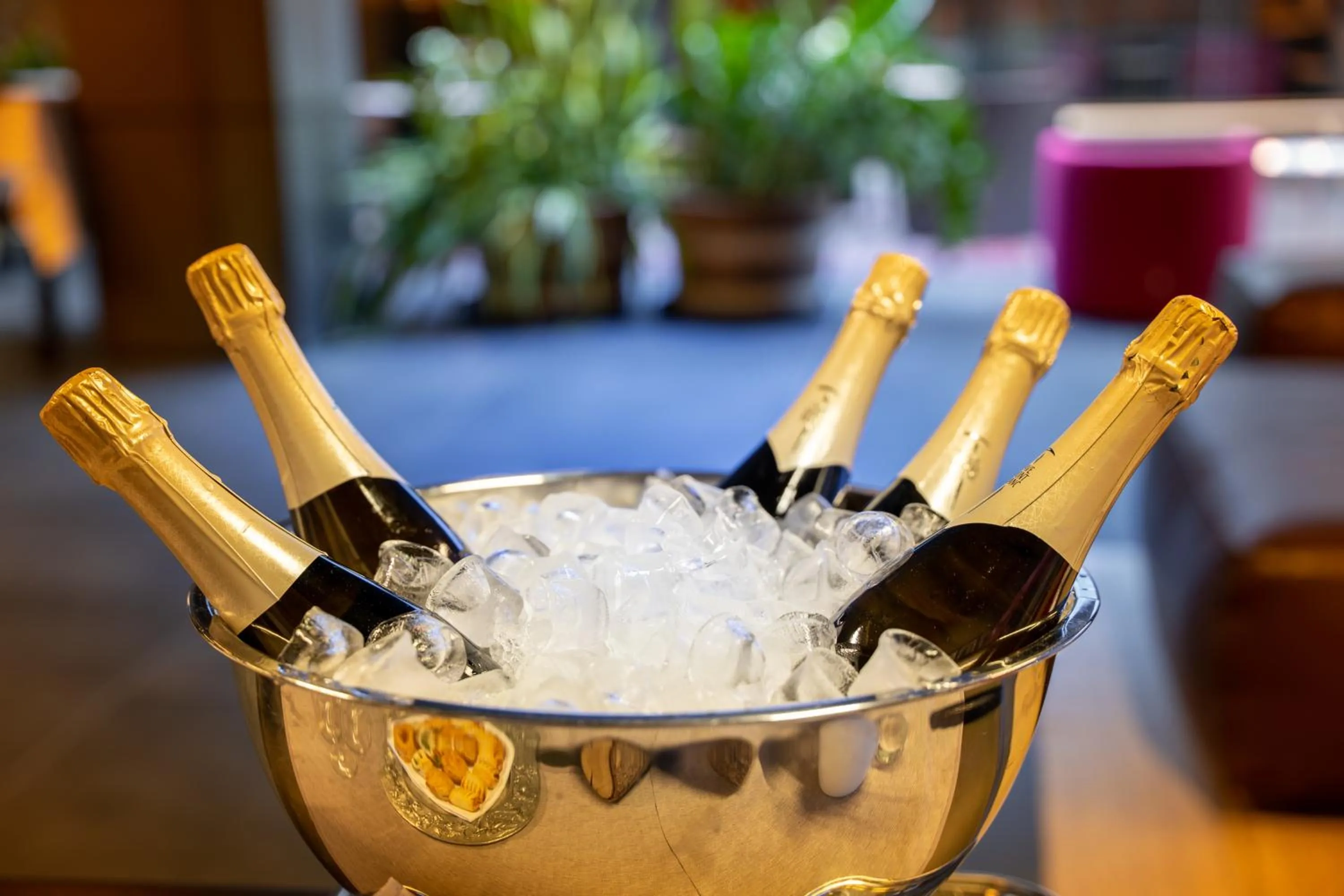 Restaurant/places to eat in Parc Hotel Billia