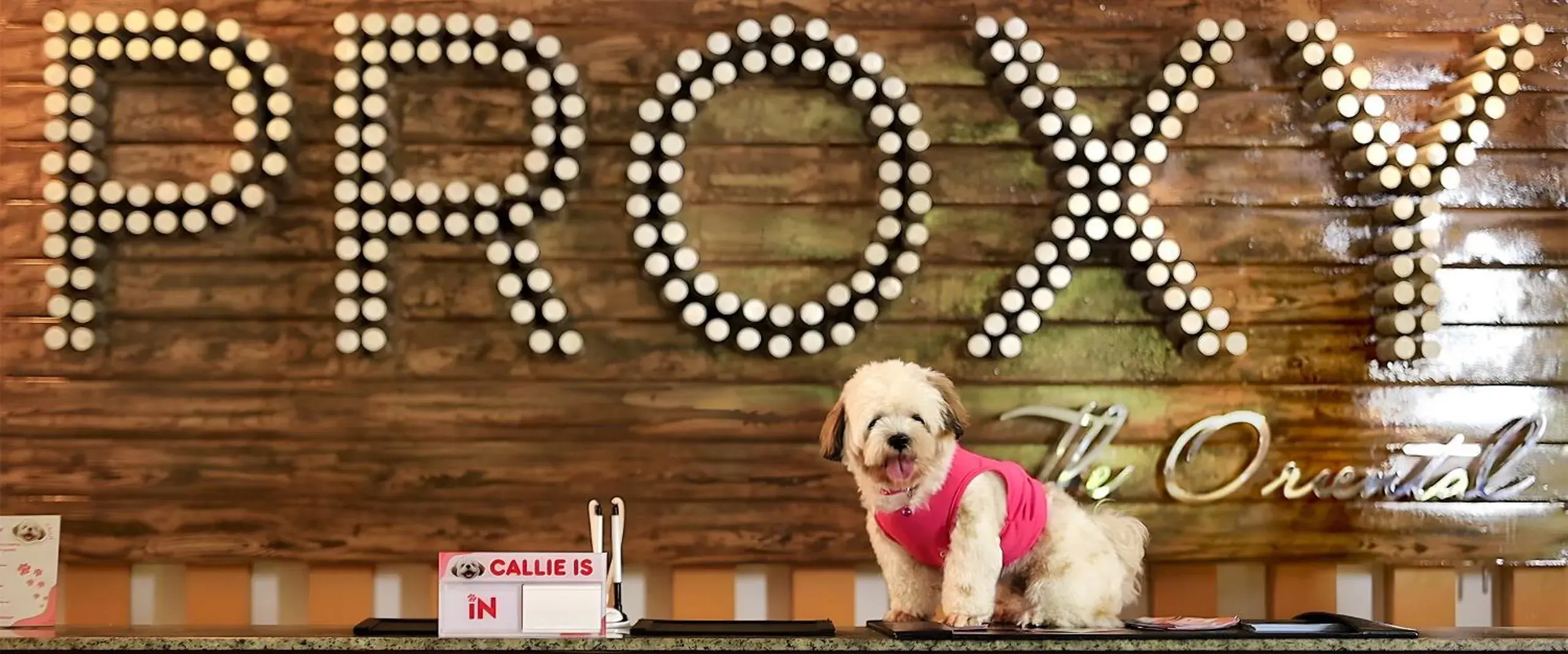 Lobby or reception in PROXY by The Oriental Albay Lobby or reception in PROXY by The Oriental Albay