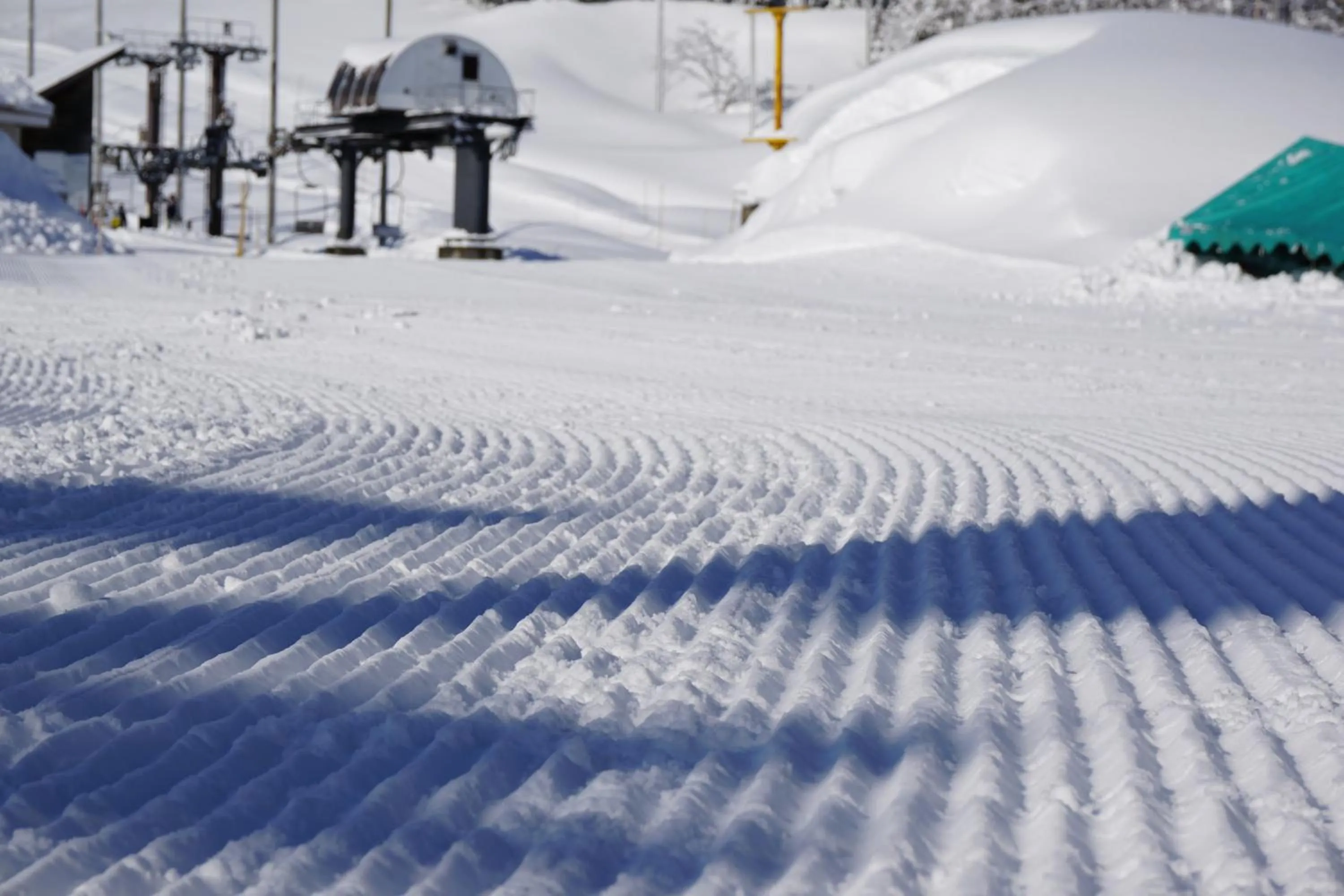 Skiing in New Greenpia Tsunan