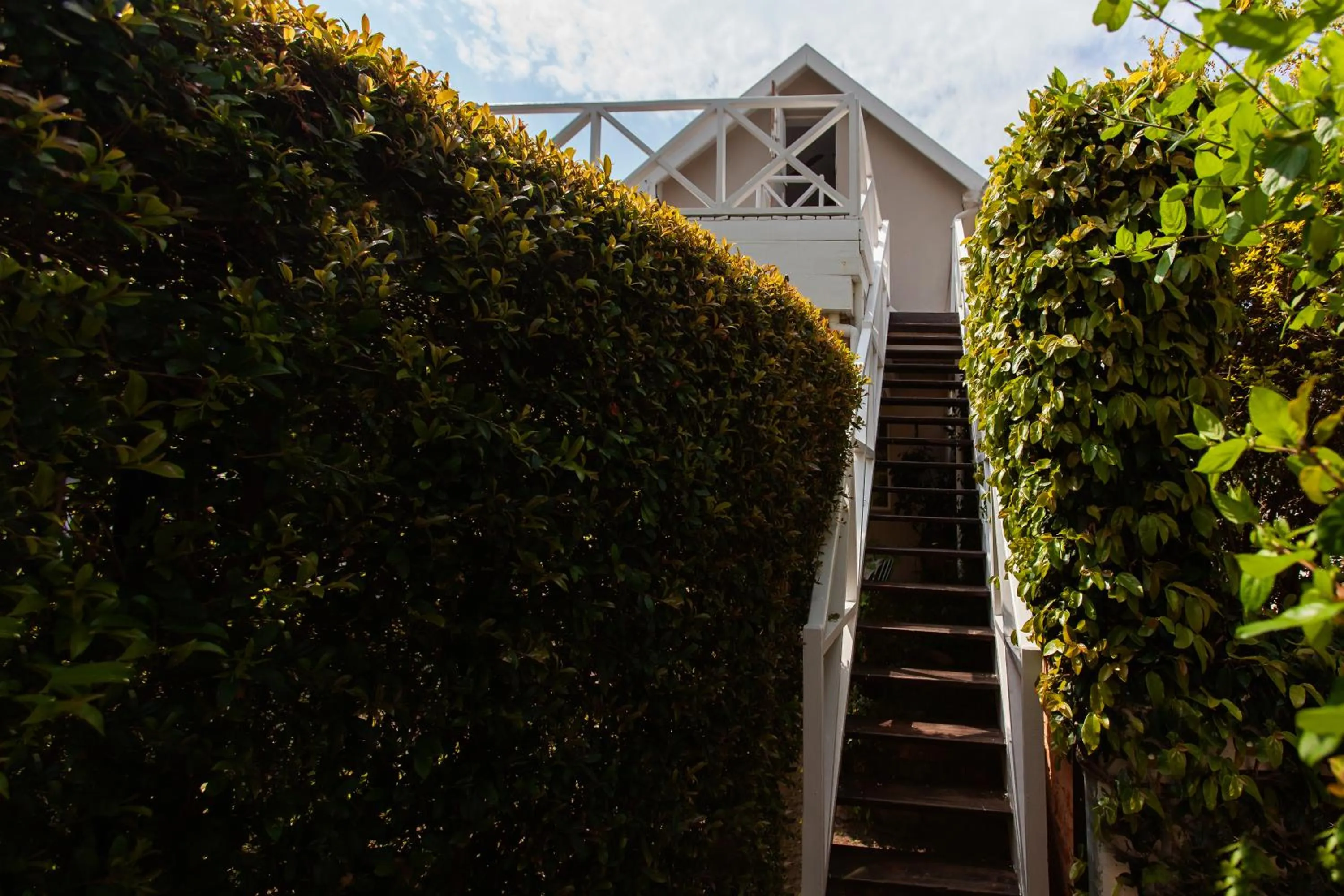 Area and facilities in The Habit Guesthouse