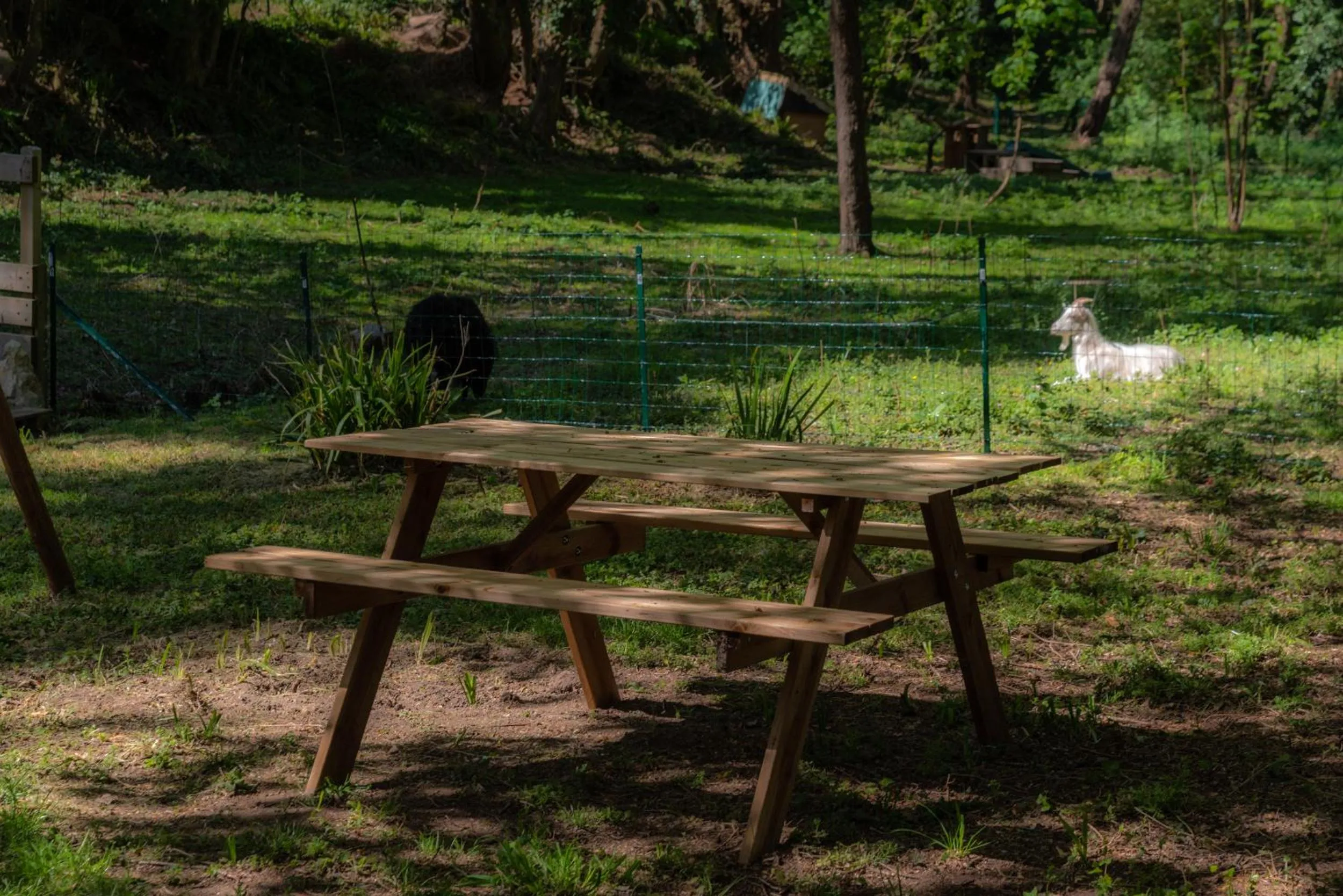 Garden in Hôtel Naéco Audierne