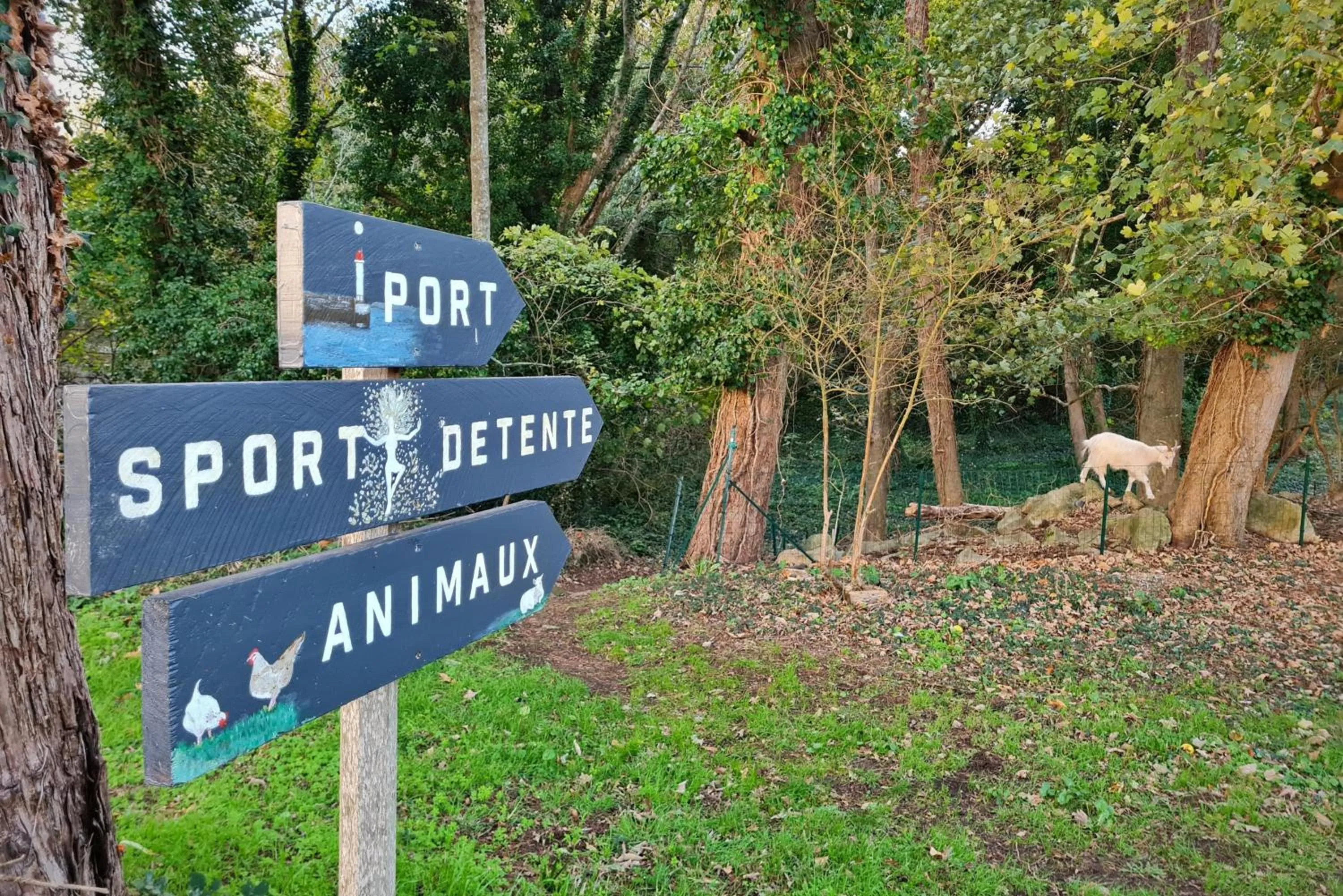 Garden in Hôtel Naéco Audierne