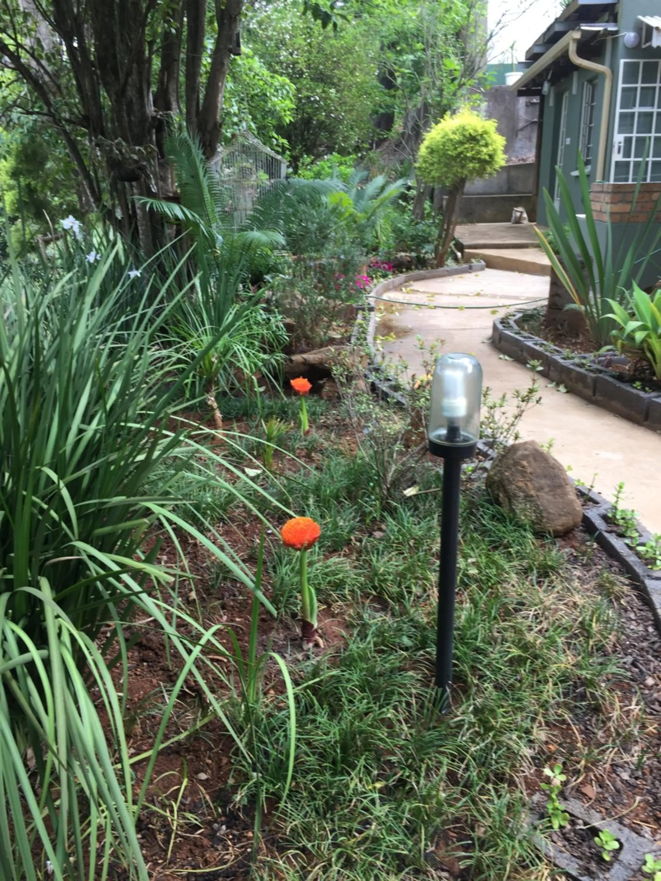 Garden in Sabie Self Catering Apartments