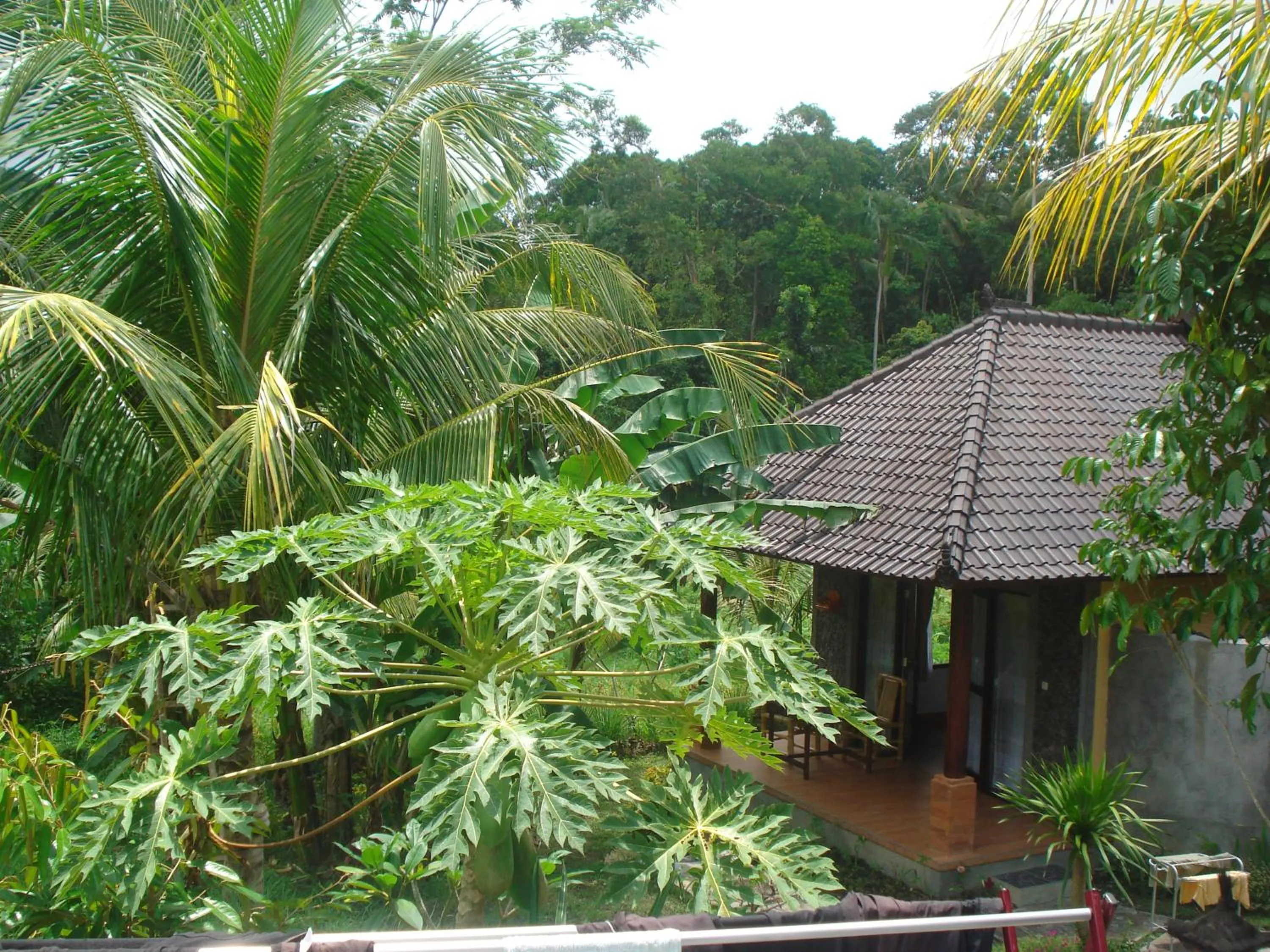 Decorative detail in Khrisna Hs and Cottages