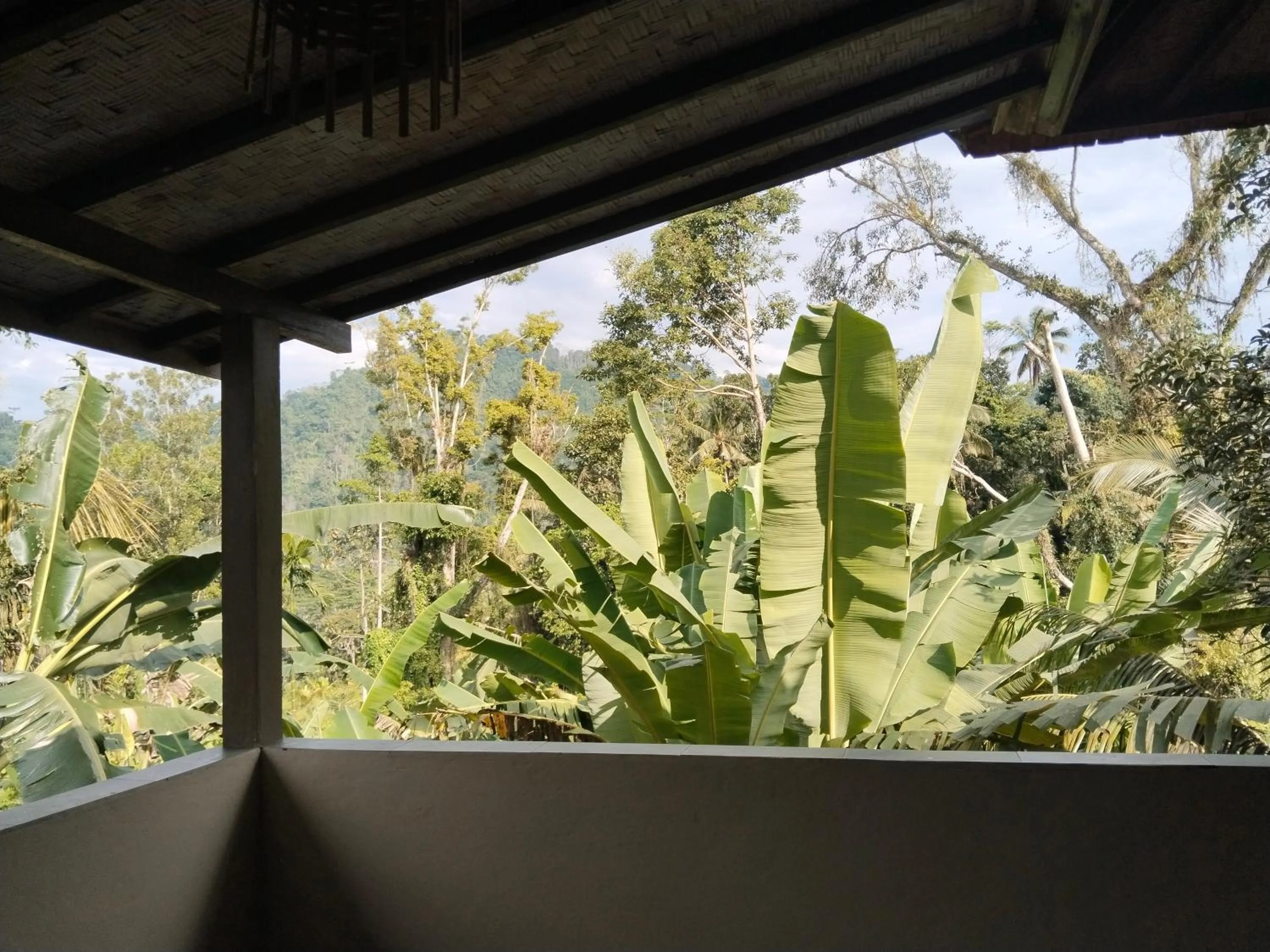 View (from property/room) in Khrisna Hs and Cottages