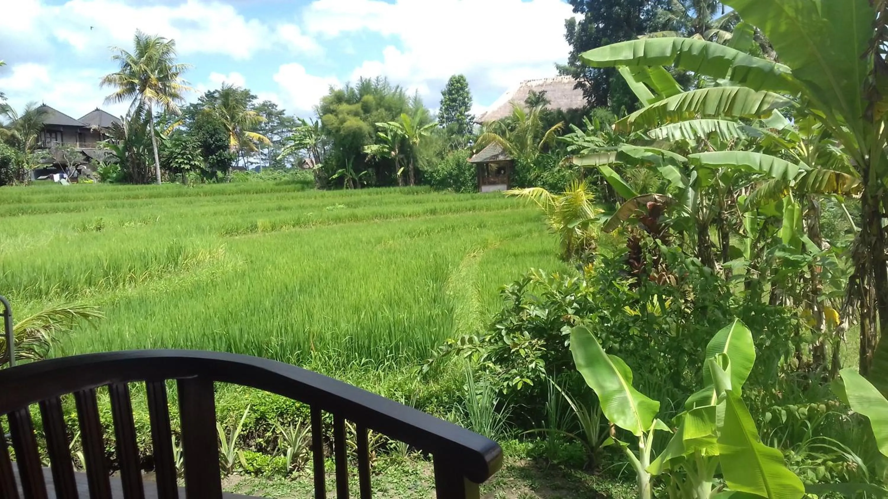 Garden view in Khrisna Hs and Cottages