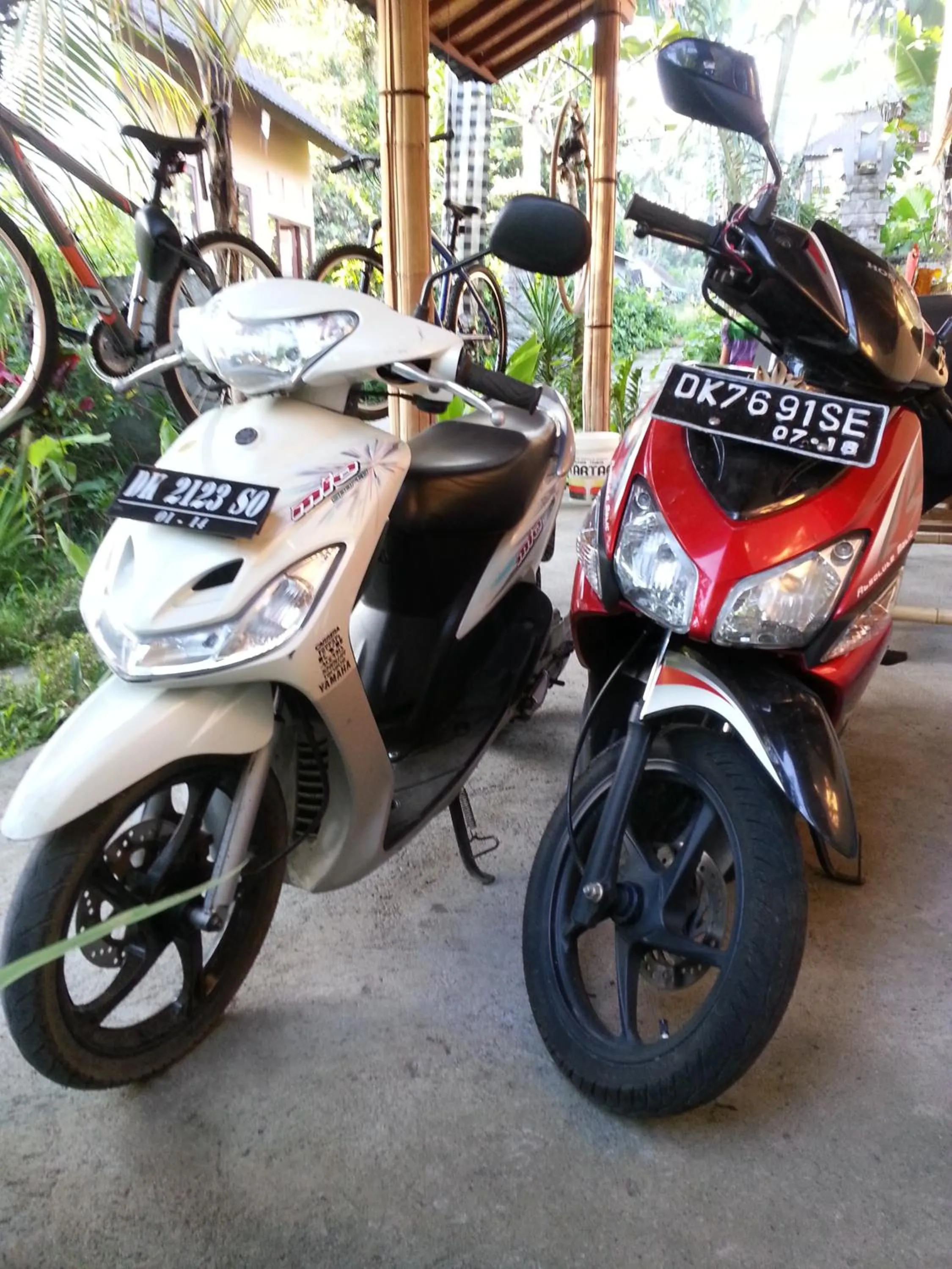 Cycling in Khrisna Hs and Cottages