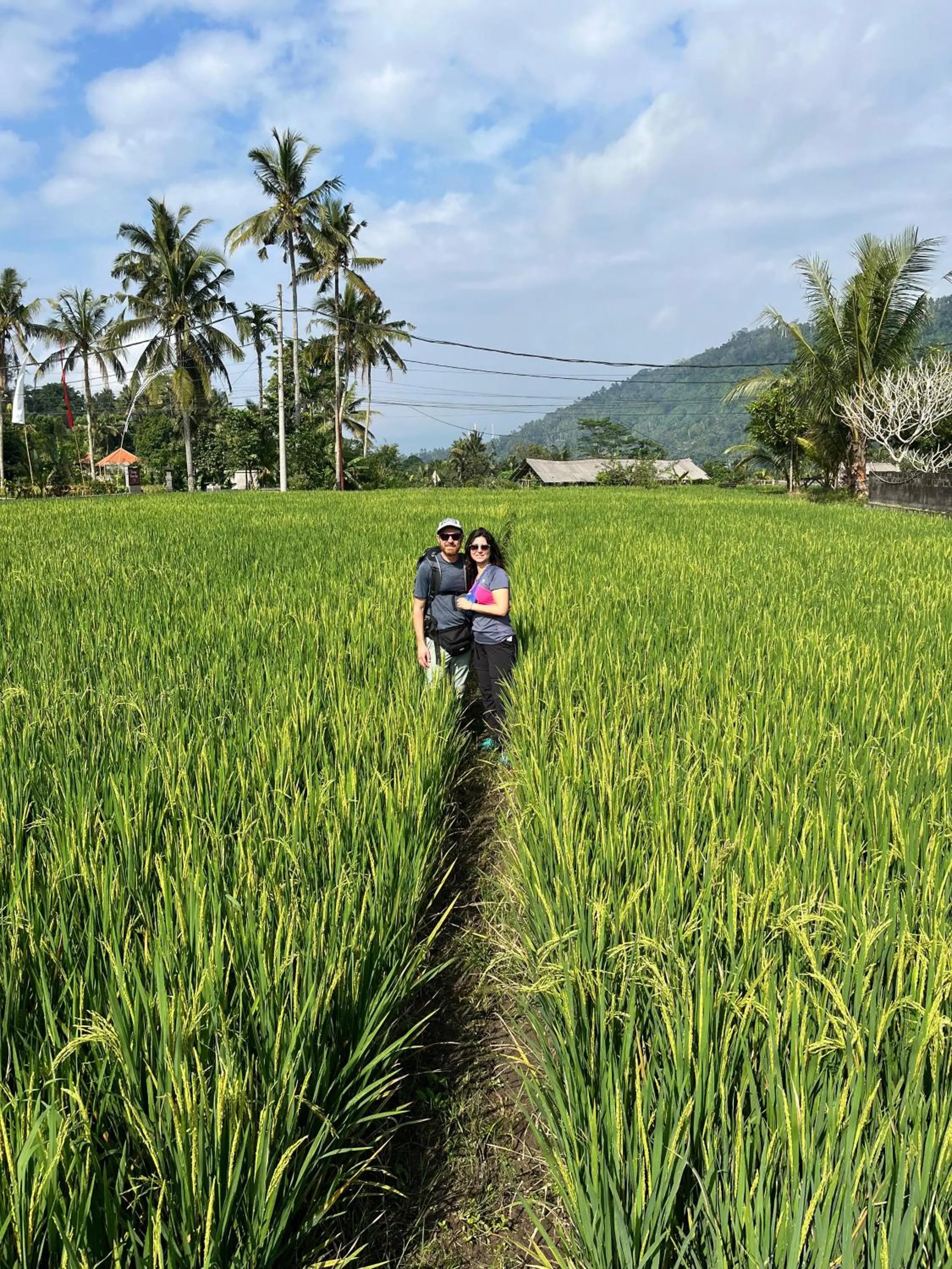 Spring in Khrisna Hs and Cottages