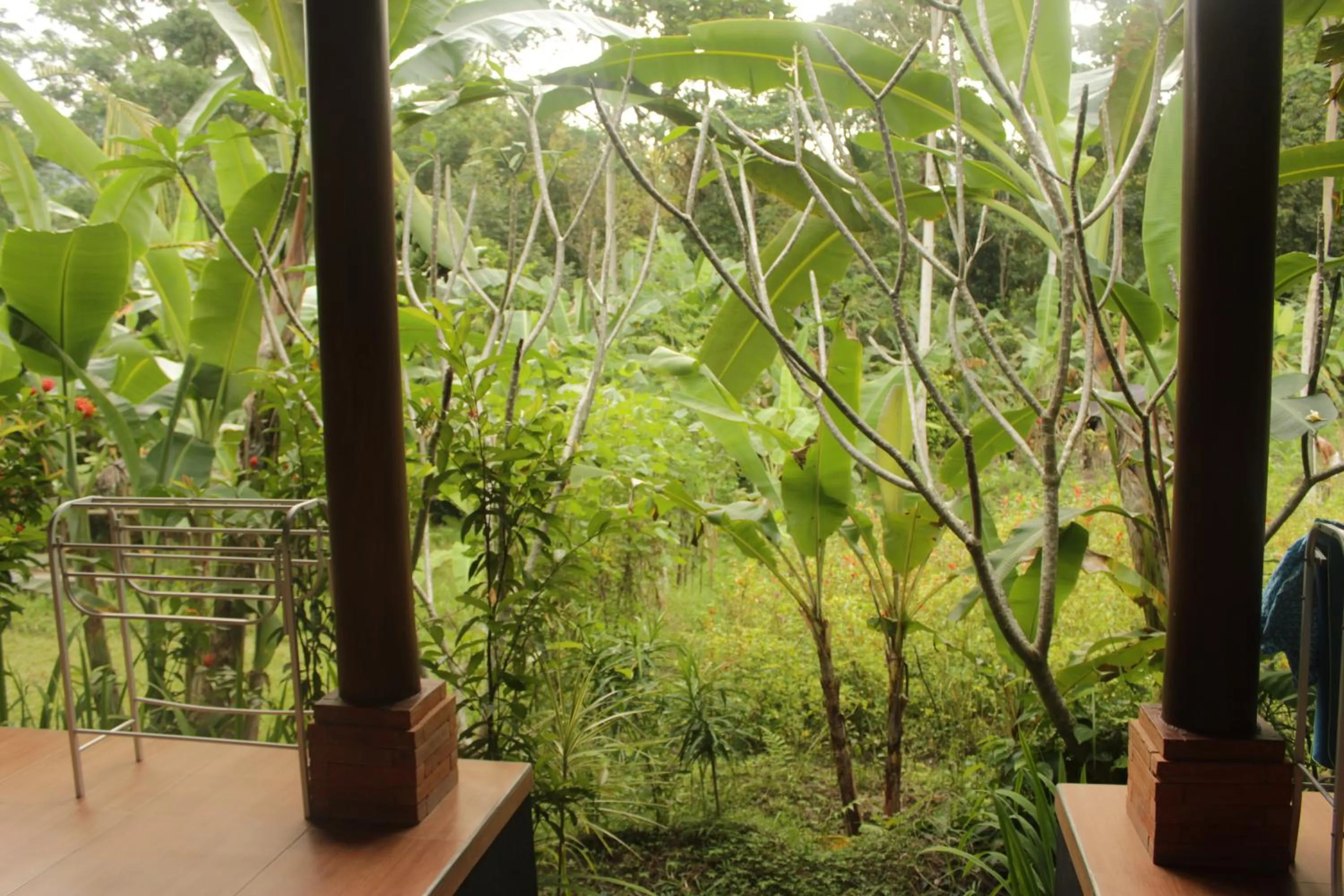 Garden in Khrisna Hs and Cottages