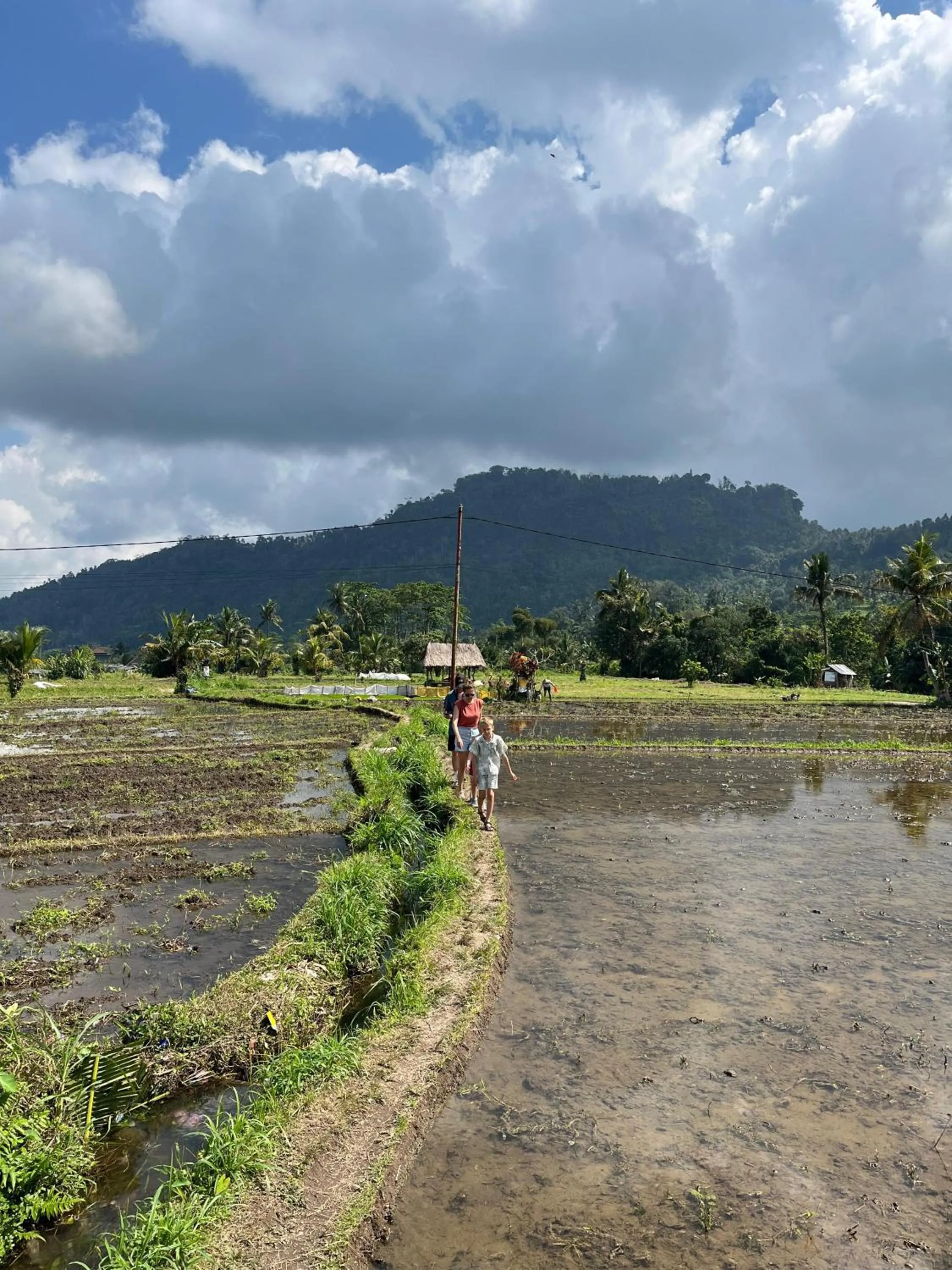 Day in Khrisna Hs and Cottages