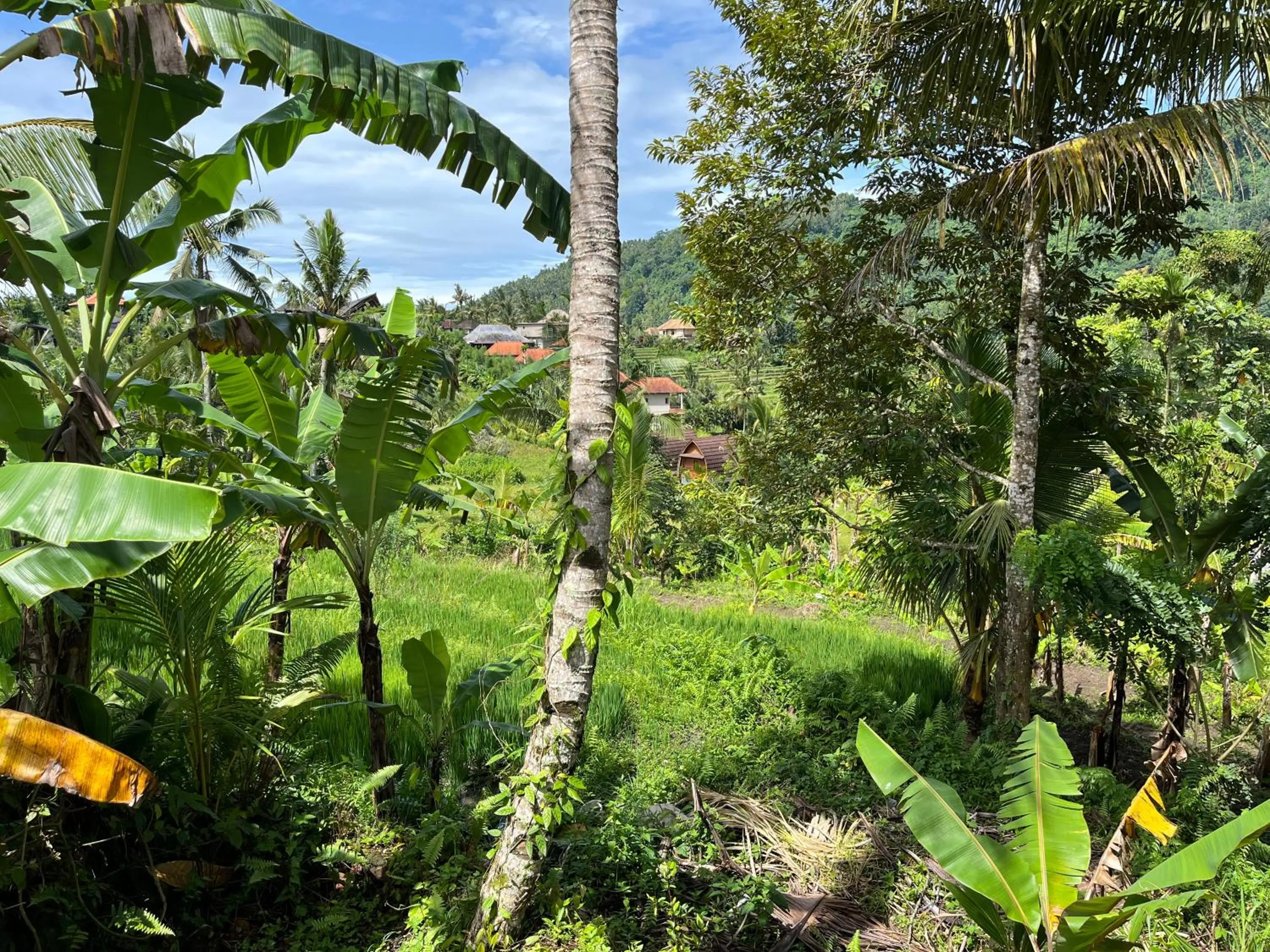 Khrisna Hs and Cottages