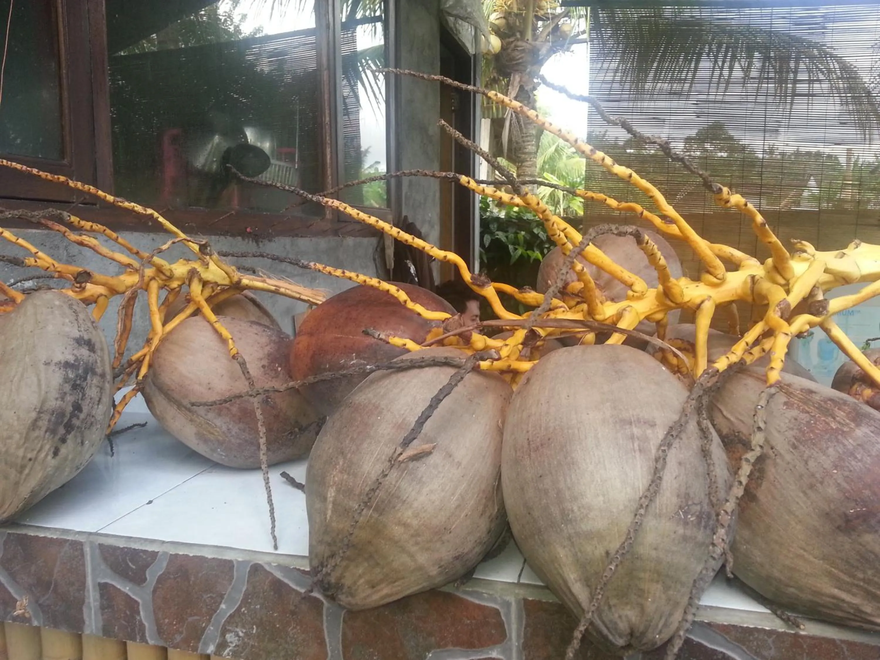 Kitchen or kitchenette in Khrisna Hs and Cottages