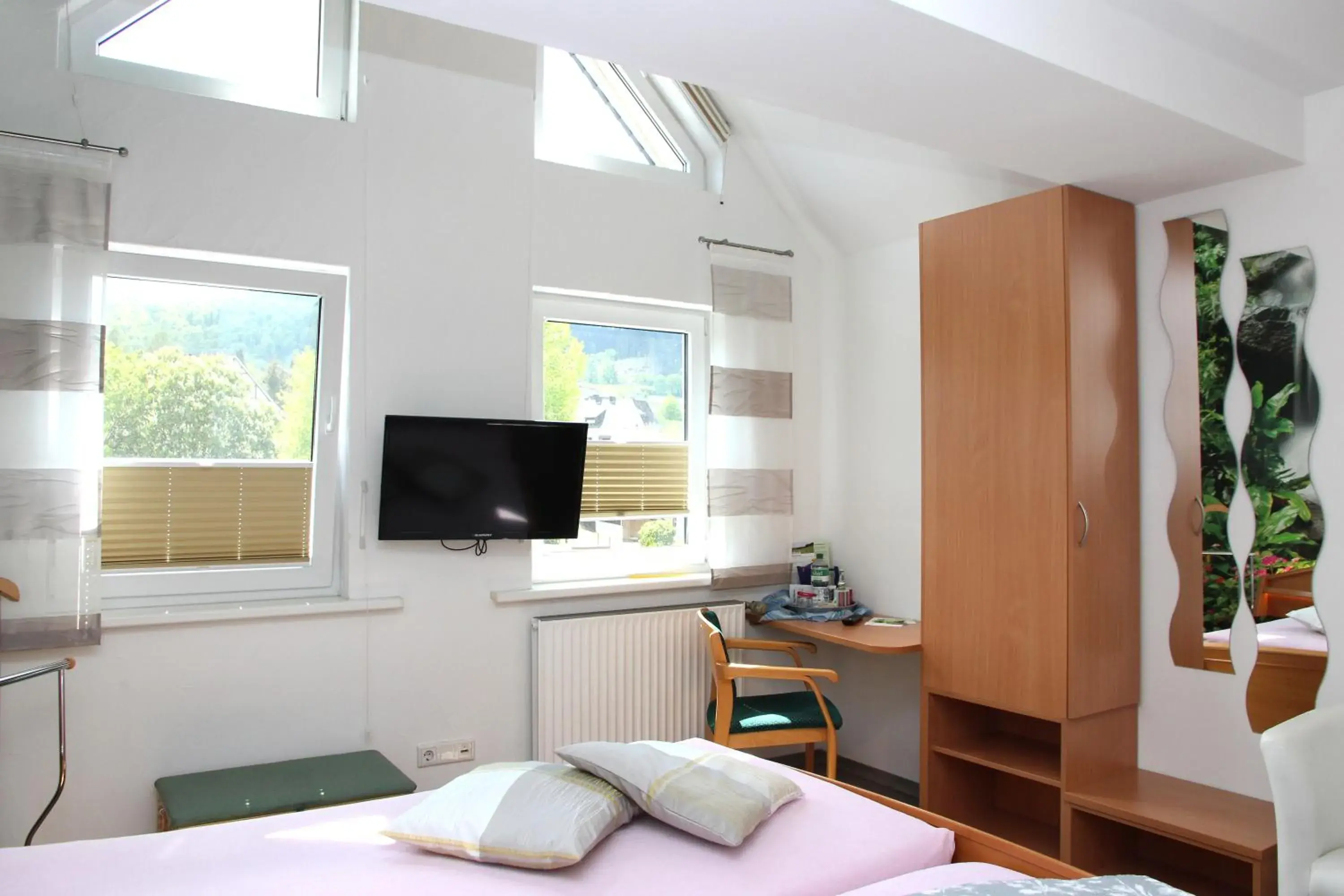 Double Room - single occupancy in Pension und Ferienwohnungen Schweinsberg Double Room - single occupancy in Pension und Ferienwohnungen Schweinsberg