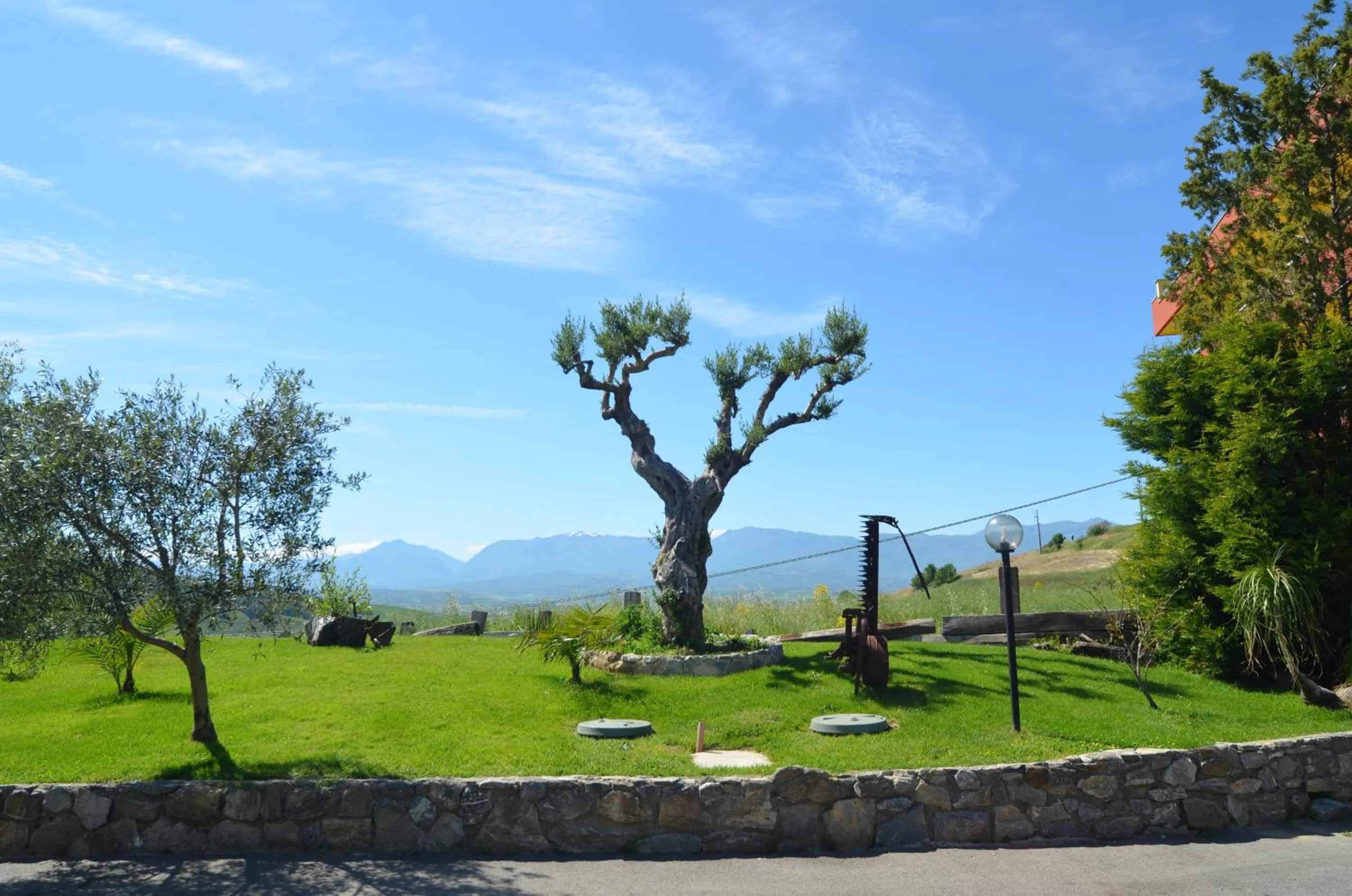 Garden in Hotel Toscano