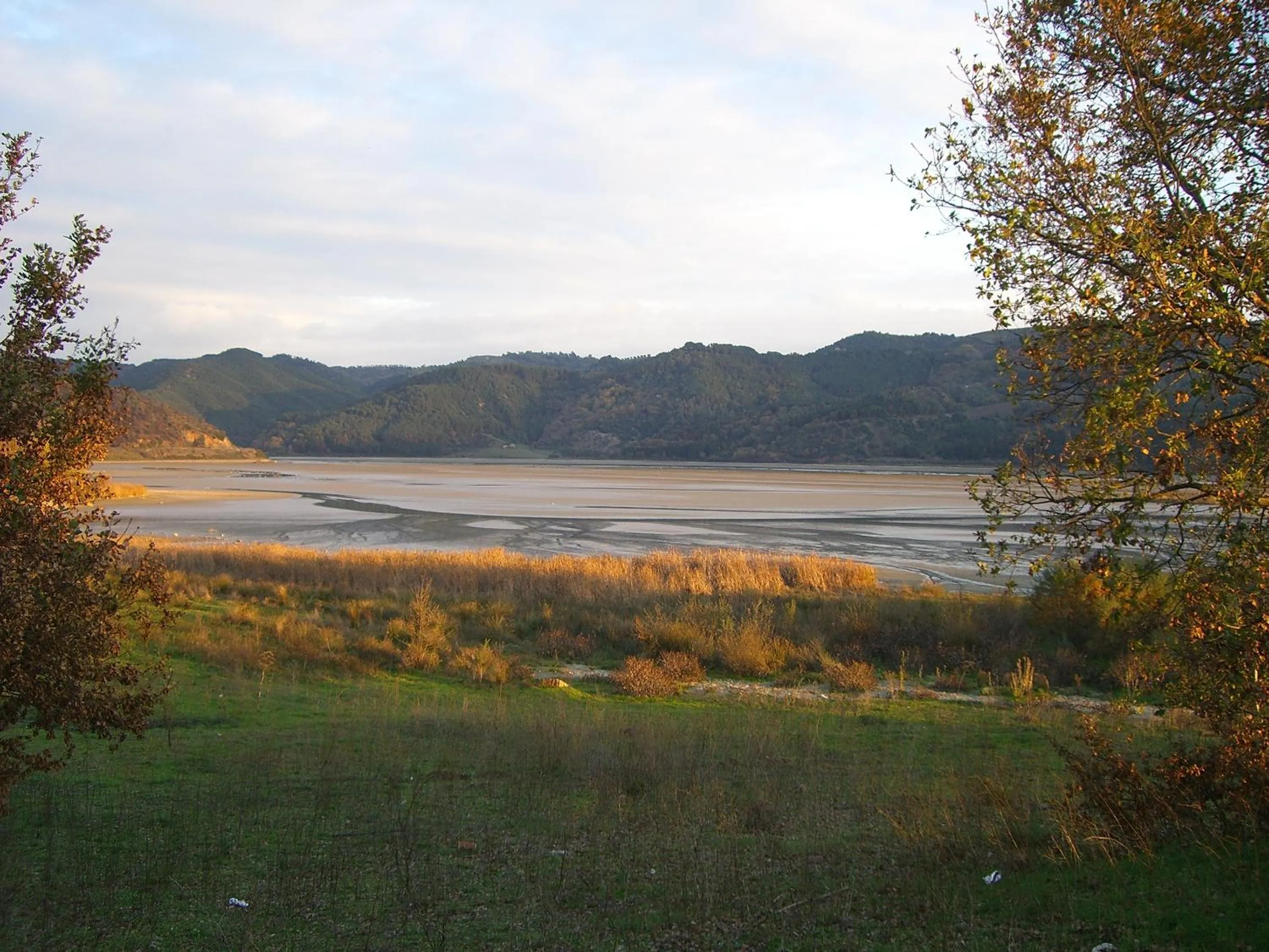 Area and facilities in Hotel Toscano