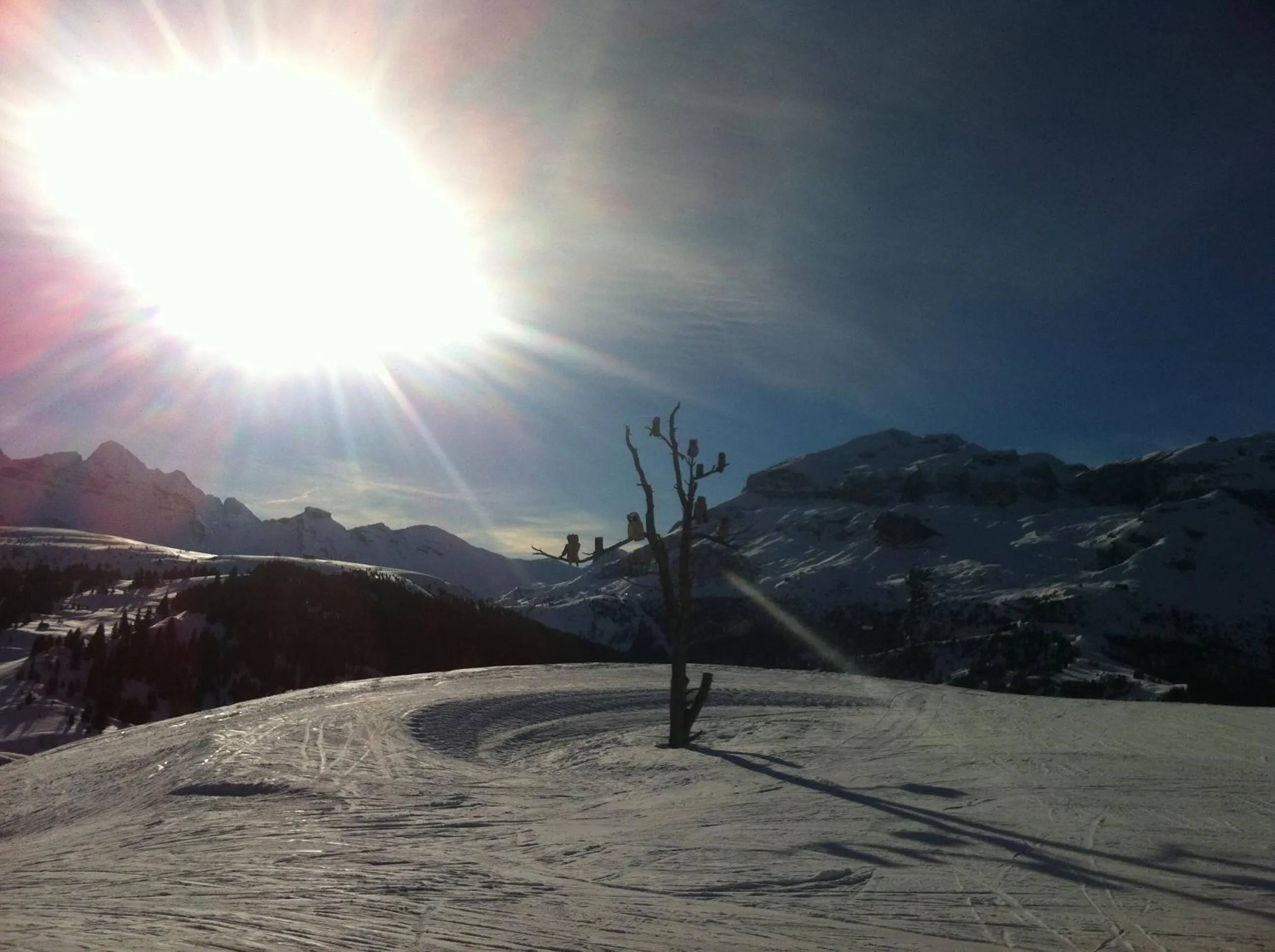 Area and facilities in B&B La Tranquillitè