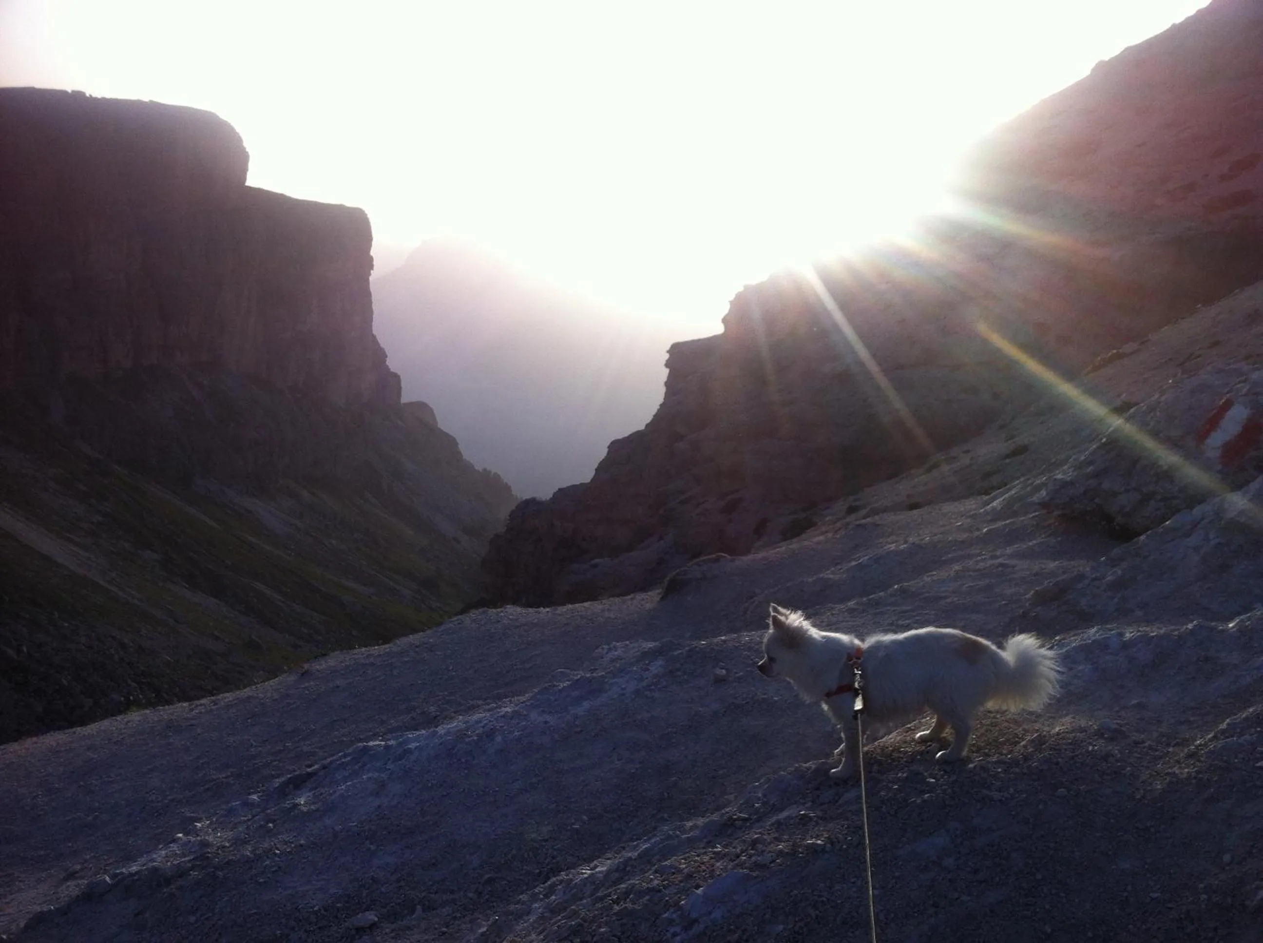 Area and facilities in B&B La Tranquillitè