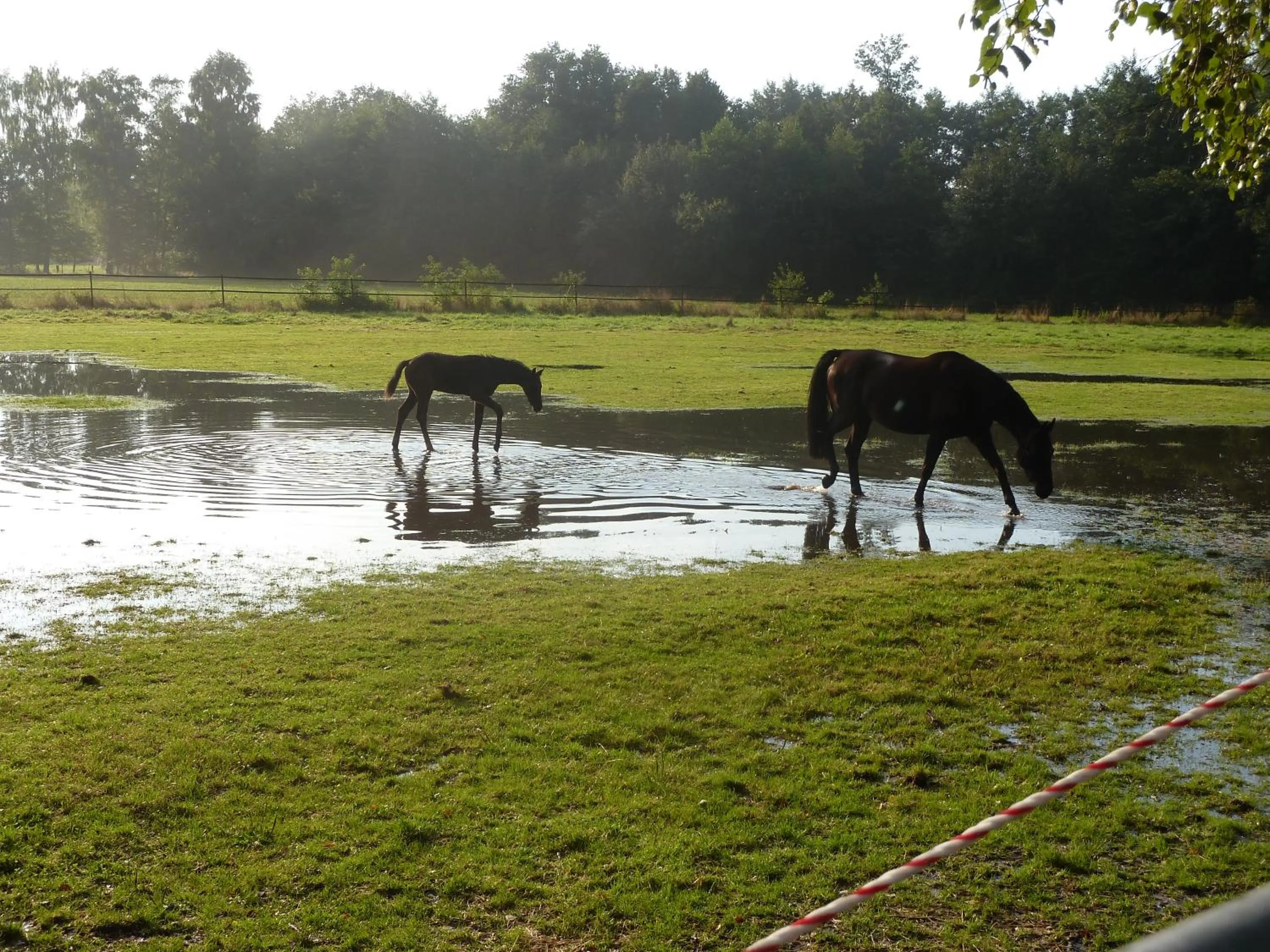 Day in Hotel Up de Birke