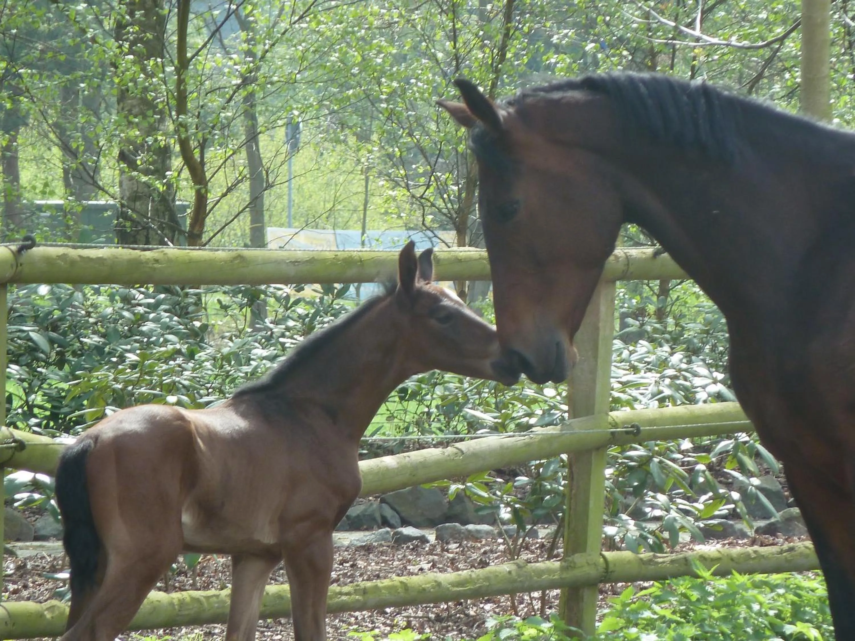 Other in Hotel Up de Birke