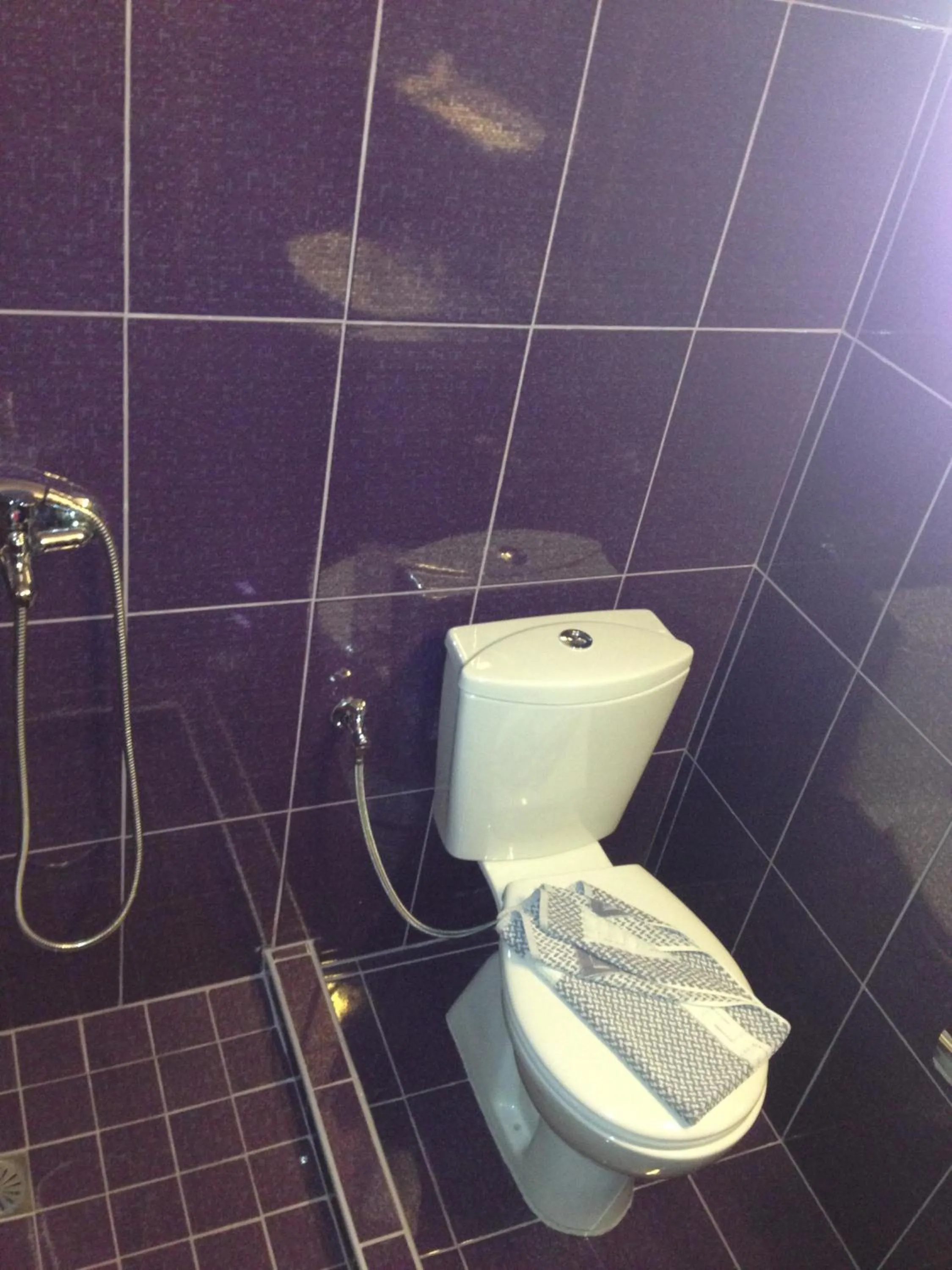 Toilet in Zefyros Hotel