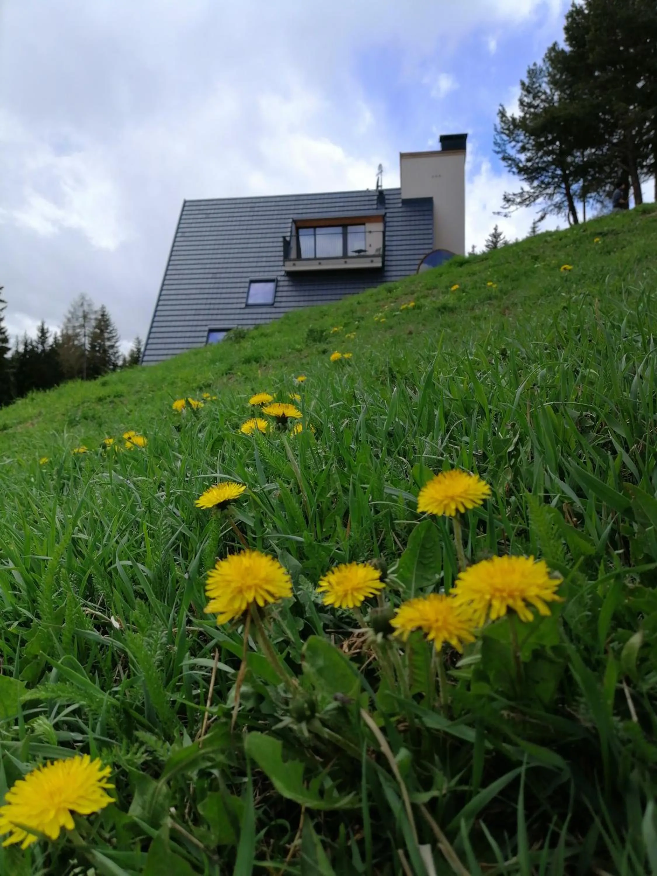 Property building in Oberhauser Hütte Rodenecker - Lüsner Alm