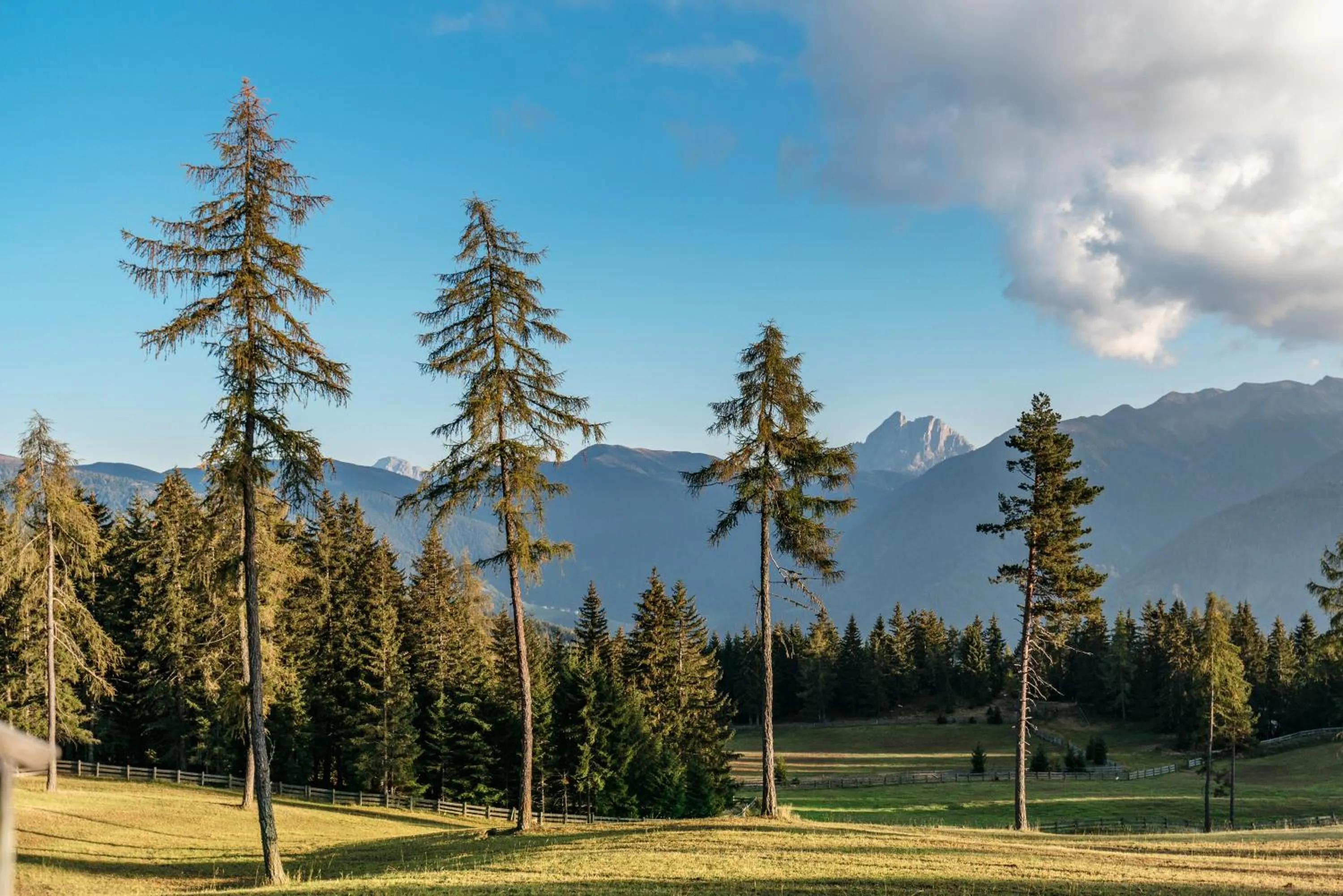 Natural landscape in Oberhauser Hütte Rodenecker - Lüsner Alm