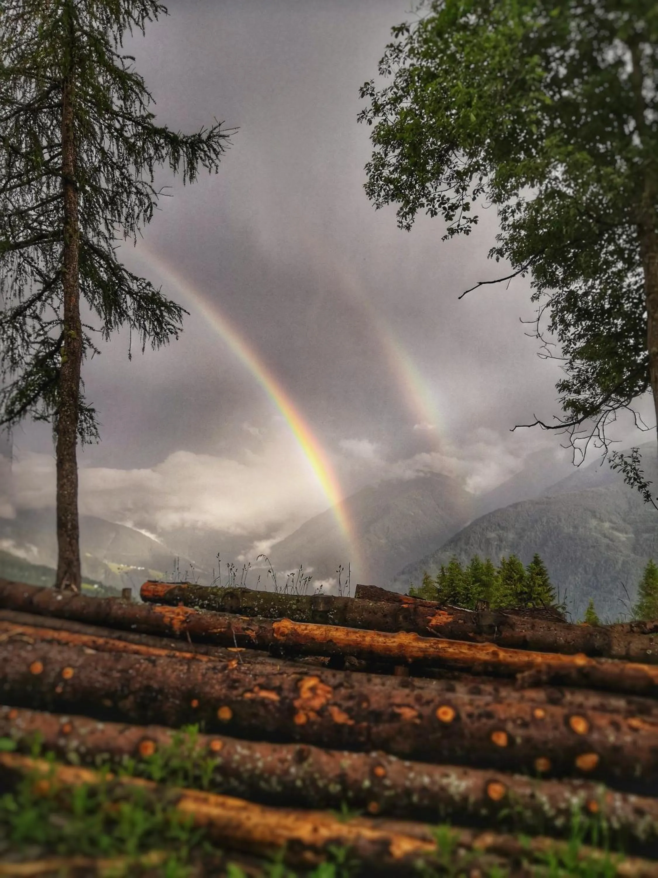 Natural landscape in Oberhauser Hütte Rodenecker - Lüsner Alm