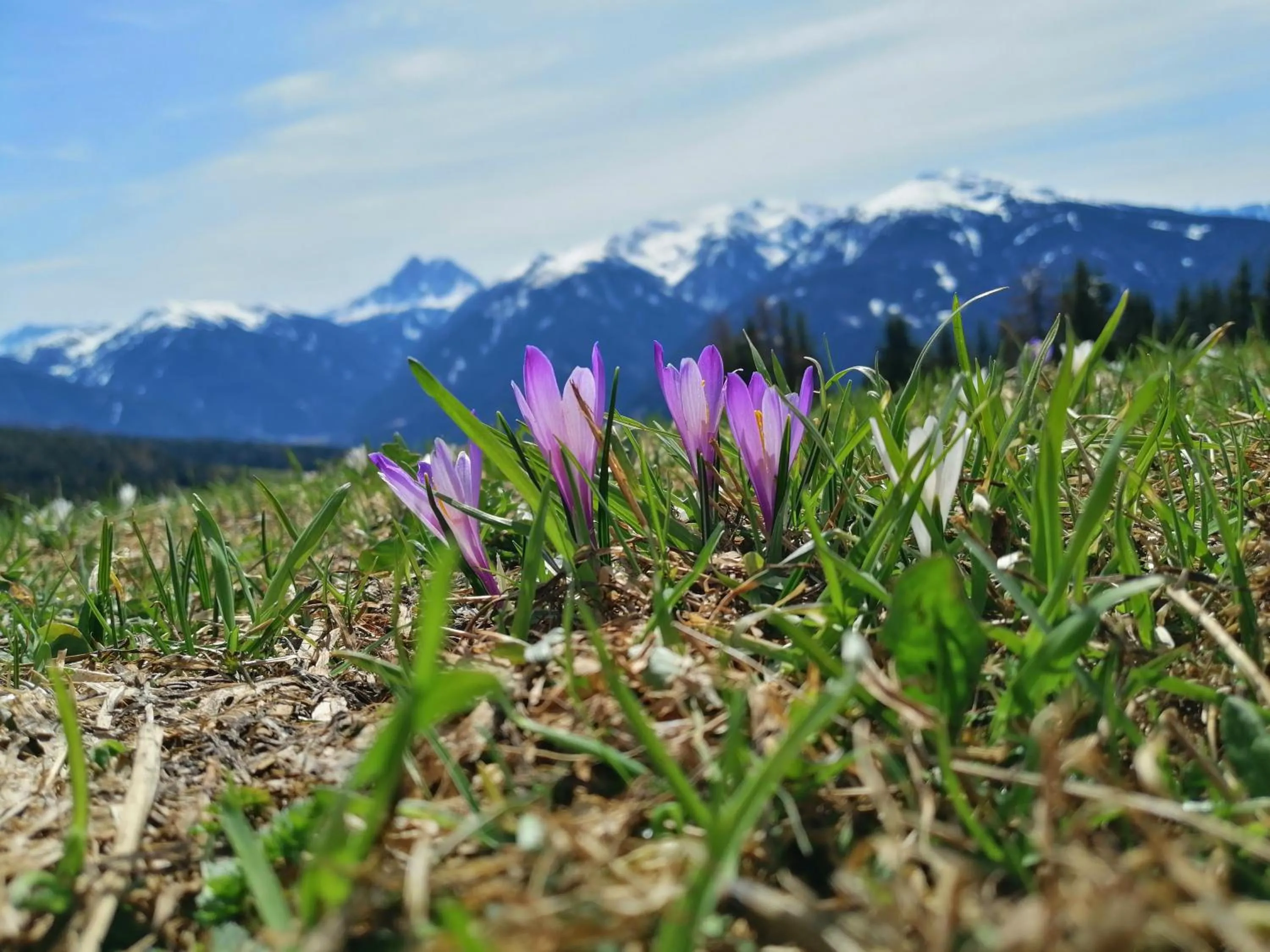 Other in Oberhauser Hütte Rodenecker - Lüsner Alm
