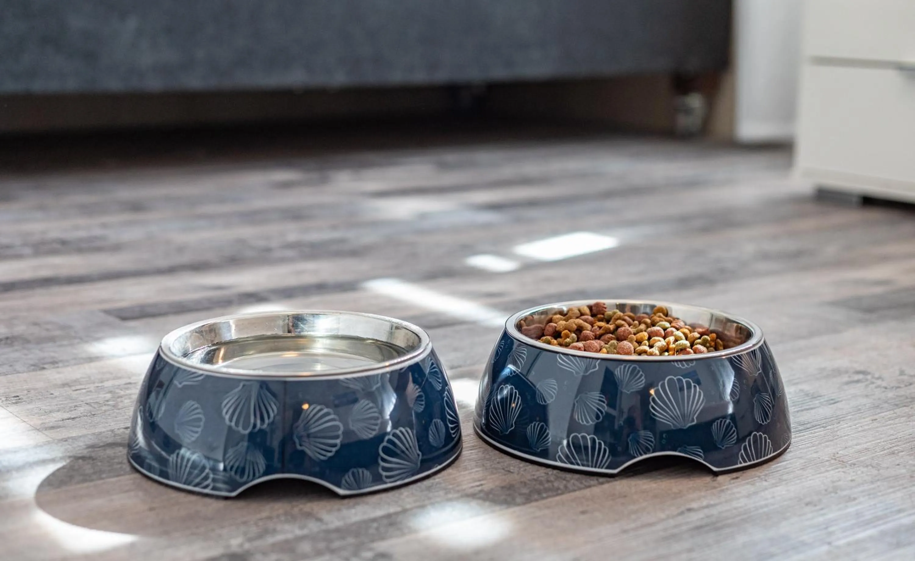 Pets in Stadt-gut-Hotel Großer Kurfürst