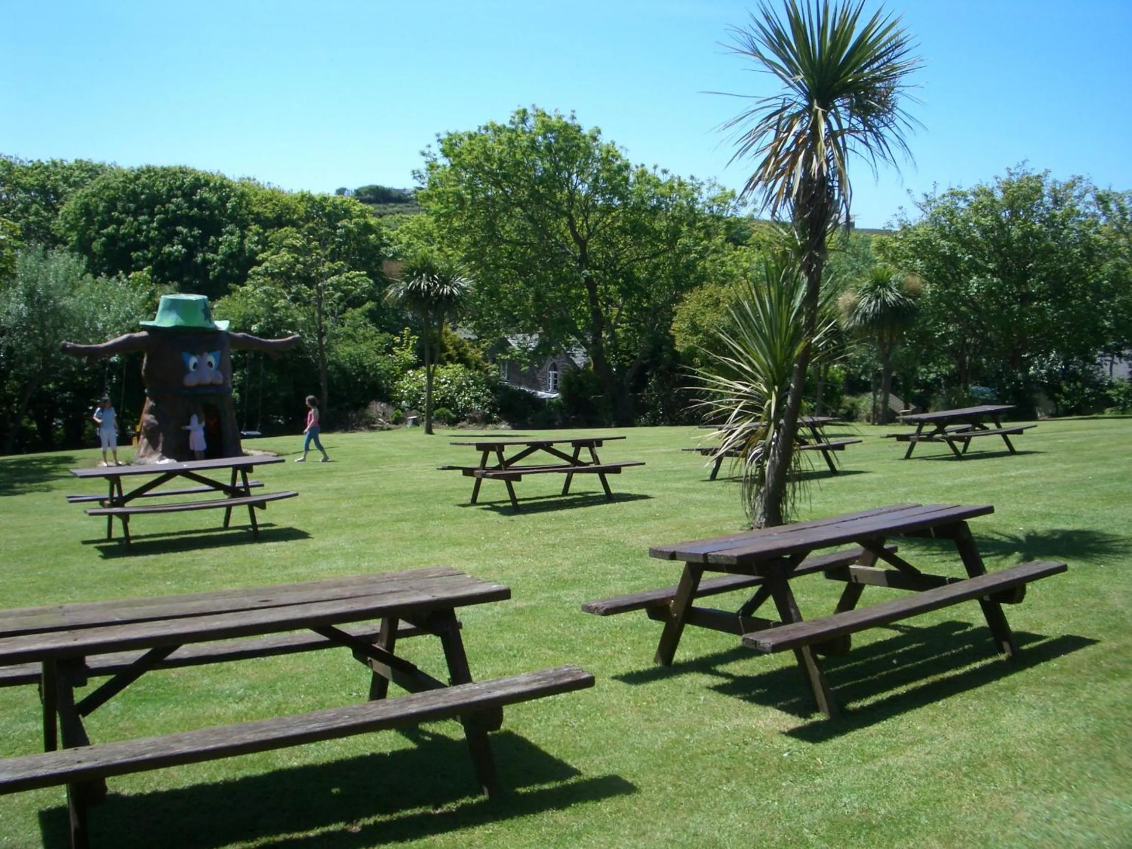 Garden in The Cornishman Inn