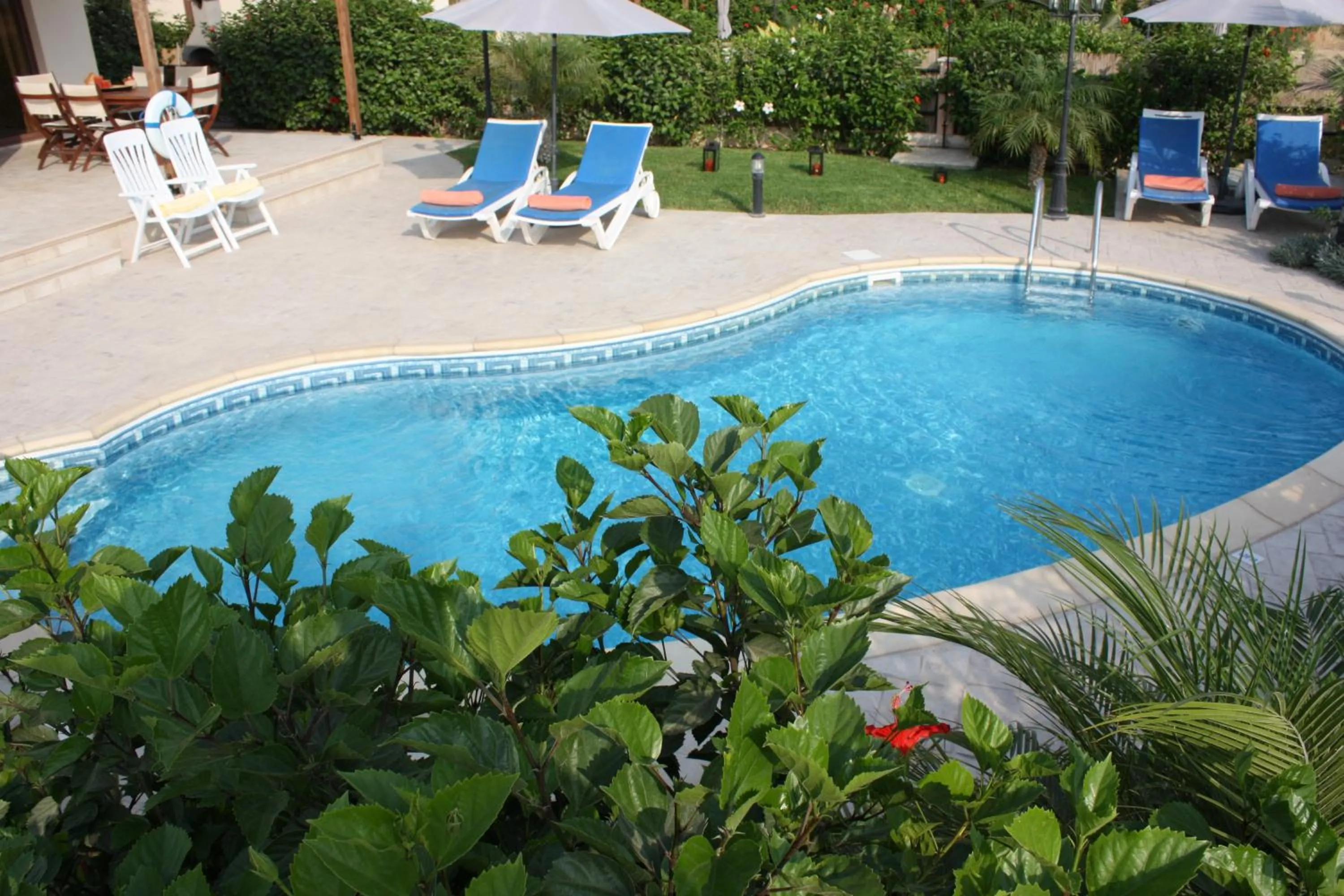 Garden in Villa Santorini