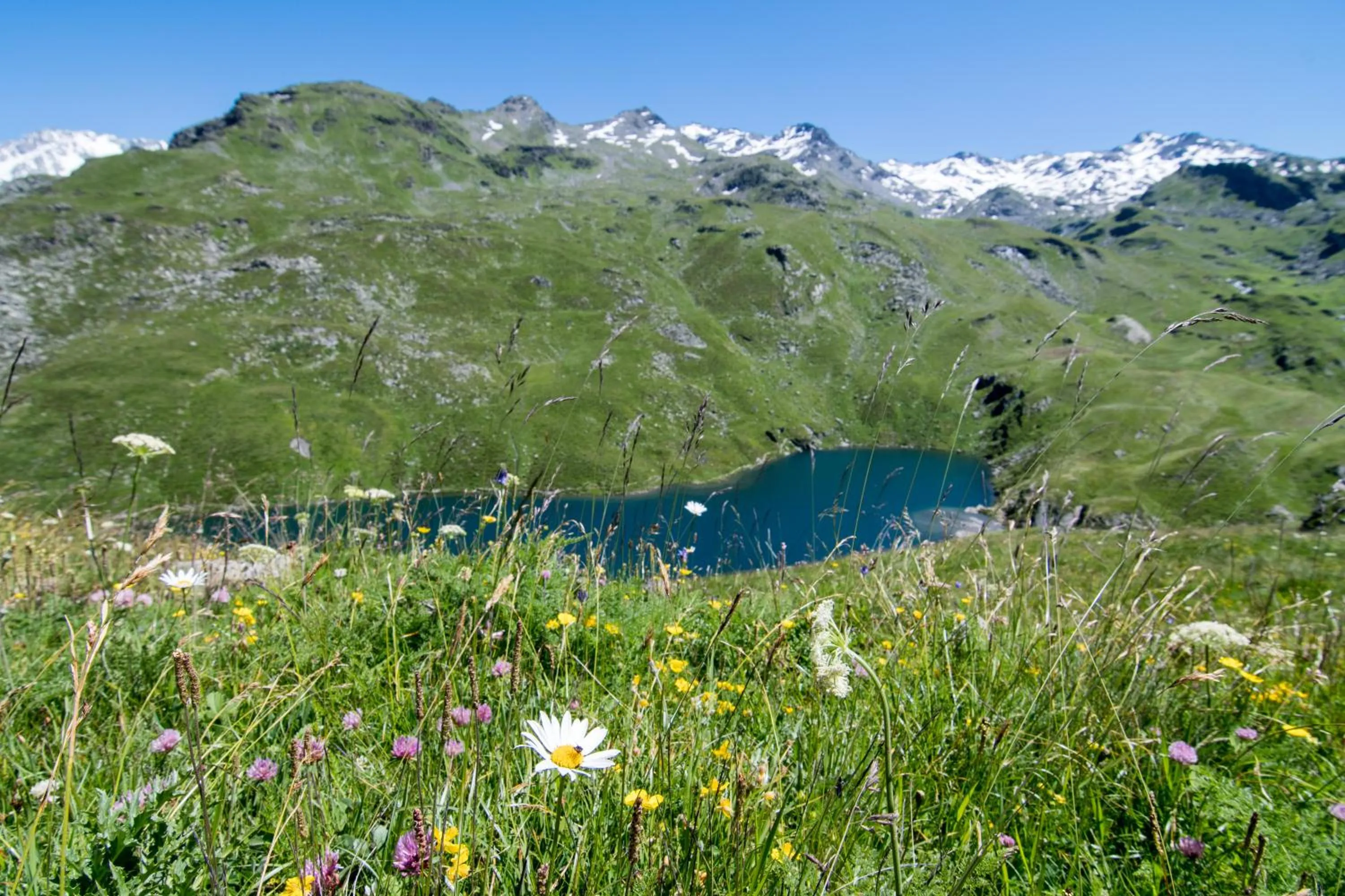 Activities in Résidence Le Chamois d'Or