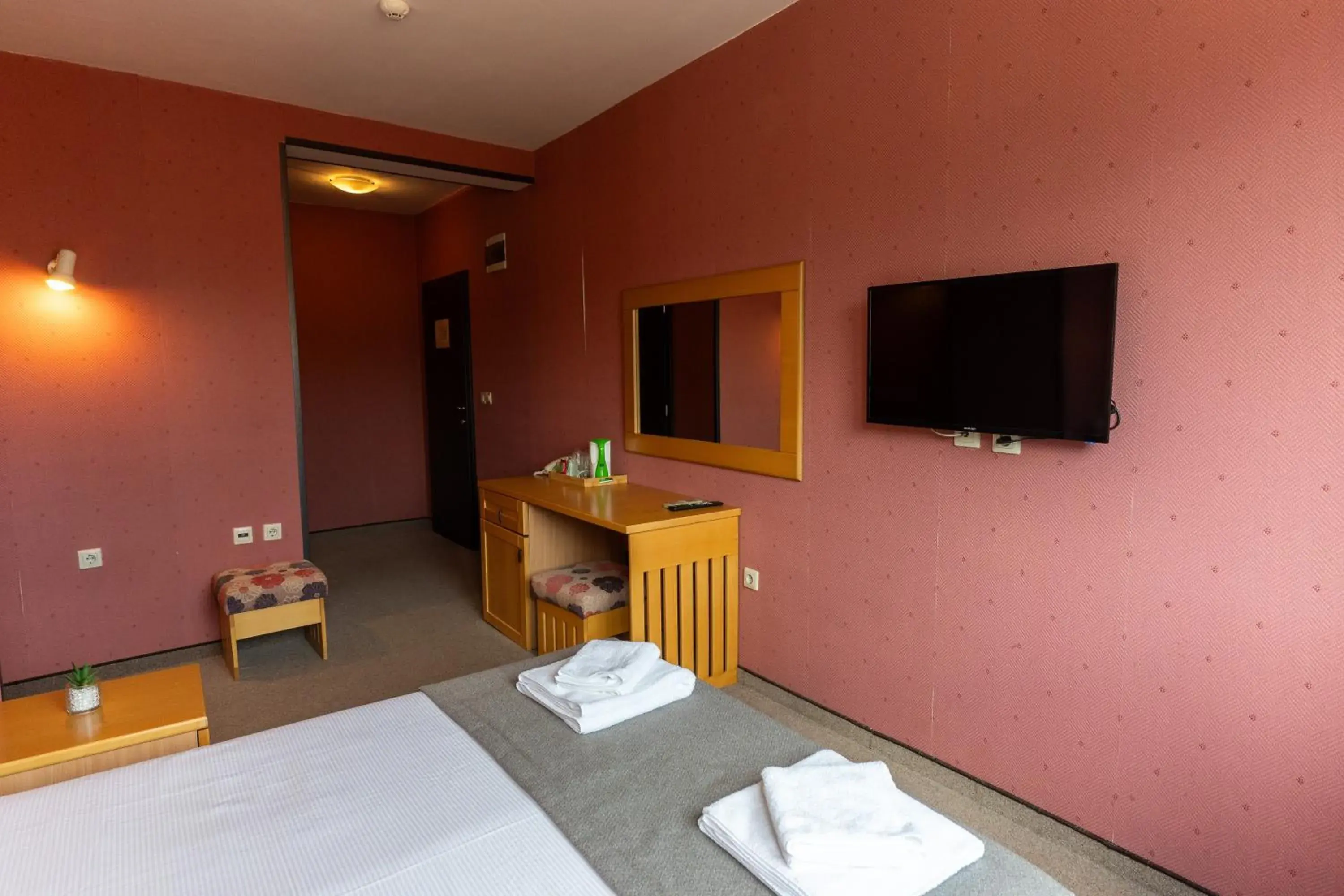 Double Room - single occupancy in Hotel DEMETRA Double Room - single occupancy in Hotel DEMETRA