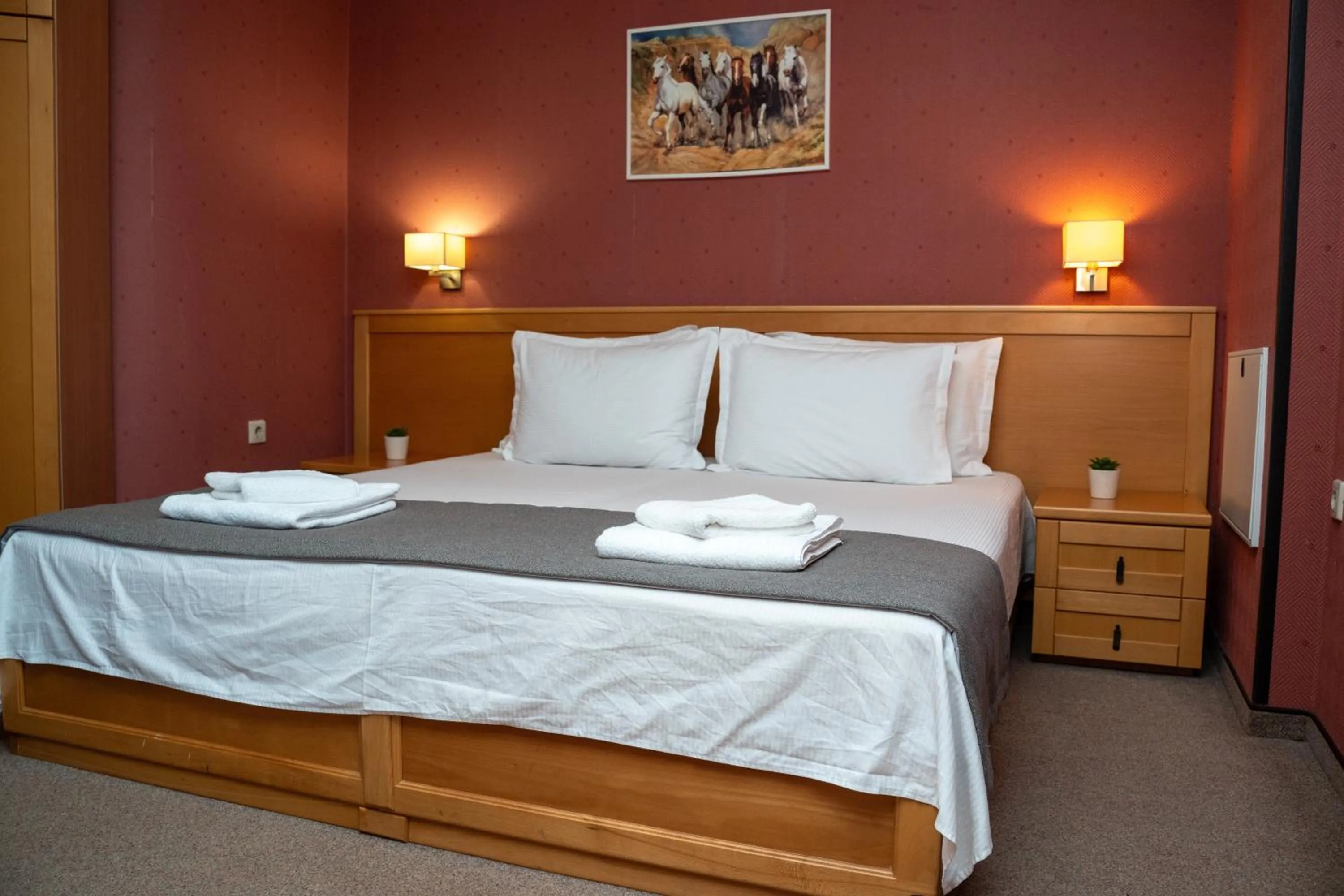 Double Room - single occupancy in Hotel DEMETRA