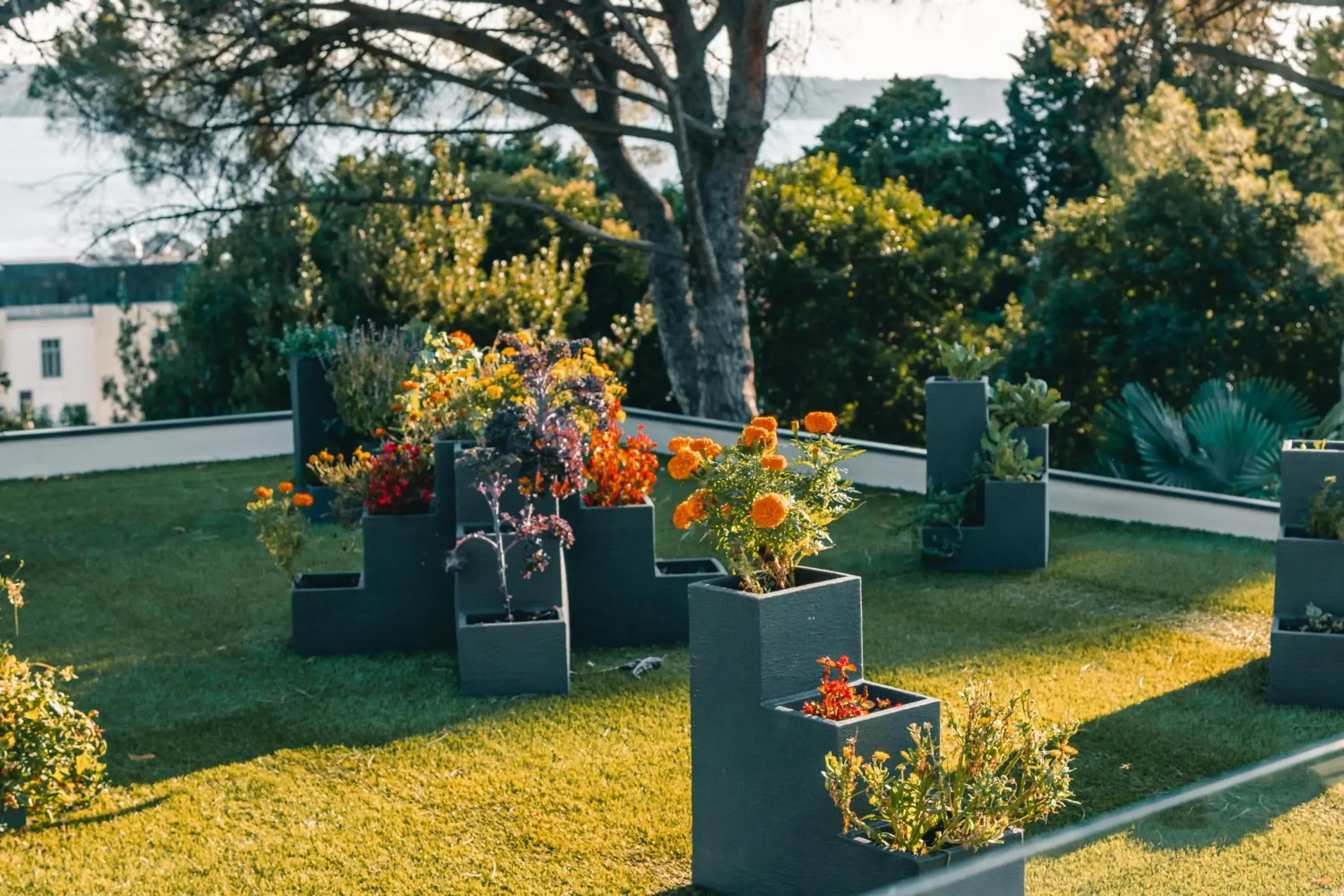 Property building, Garden in Hotel Tomi