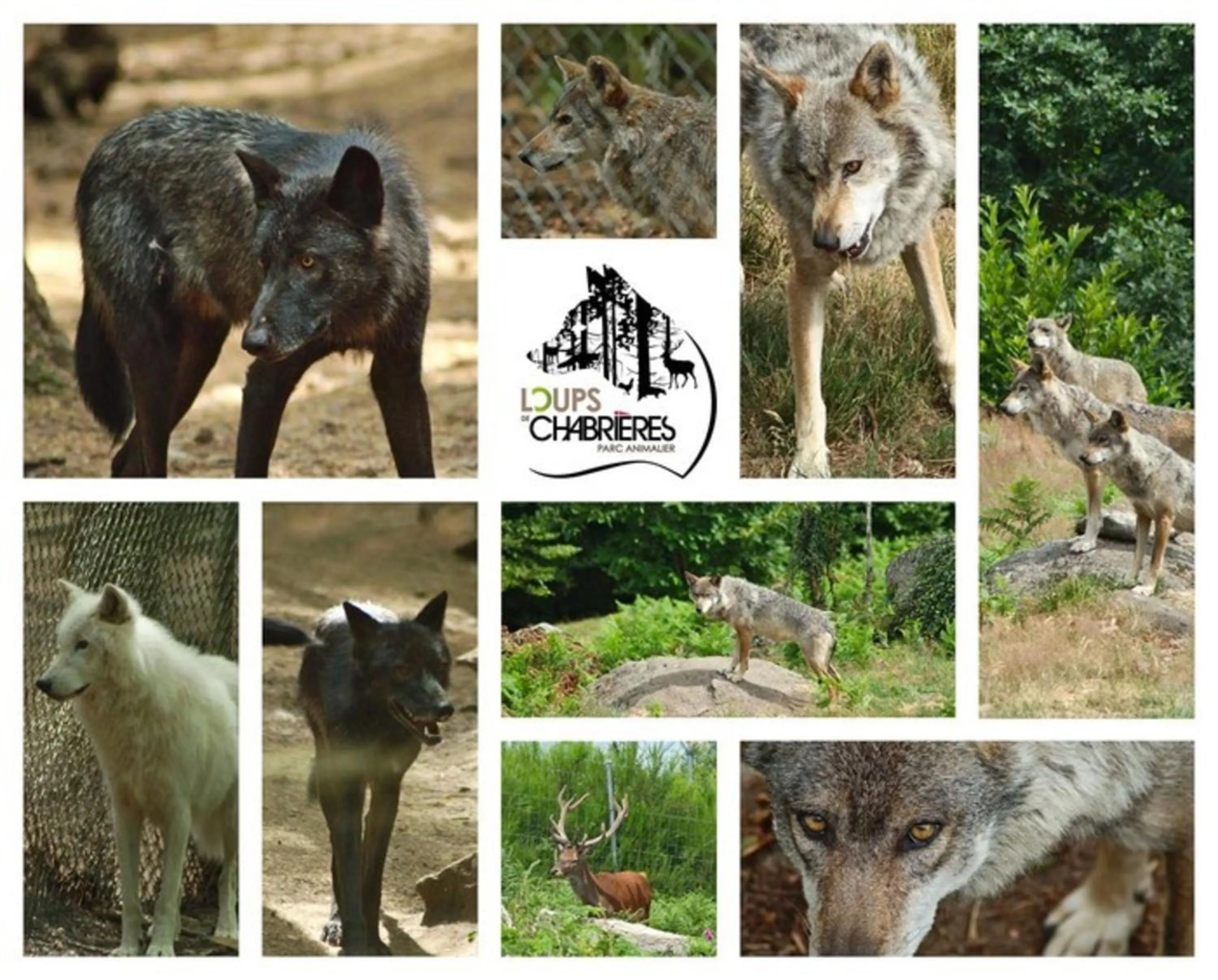 Nearby landmark in Hôtel Le Pommeil