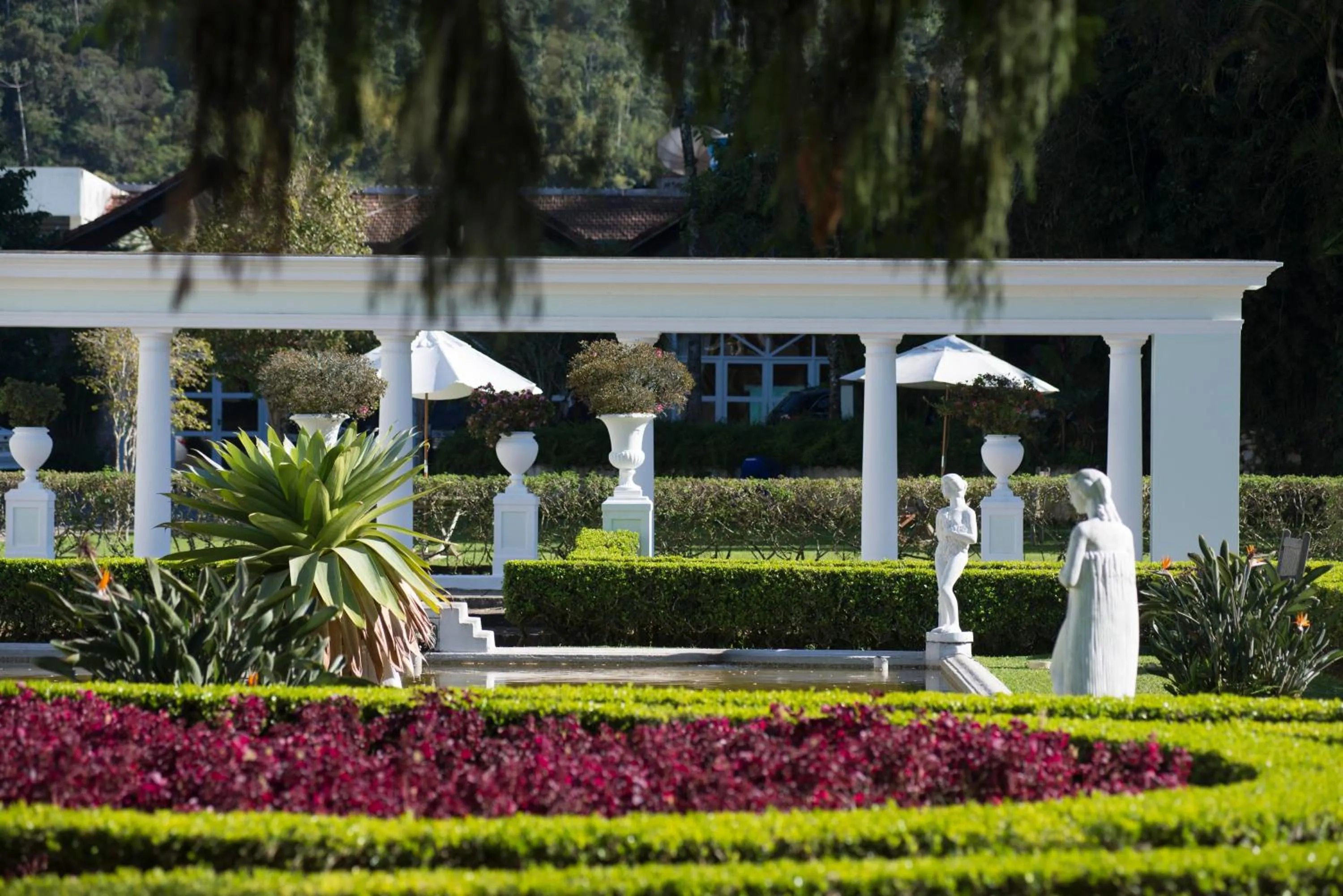 Garden in Hotel Solar do Império