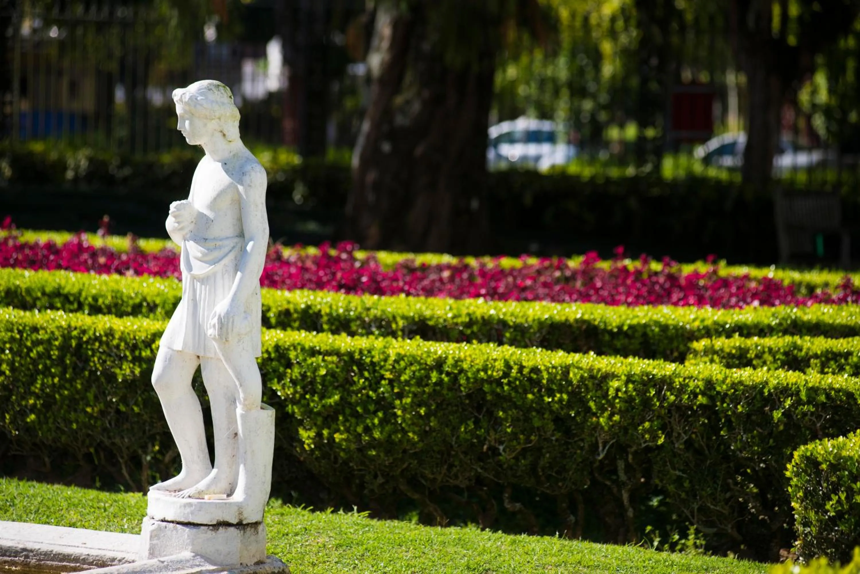 Garden in Hotel Solar do Império