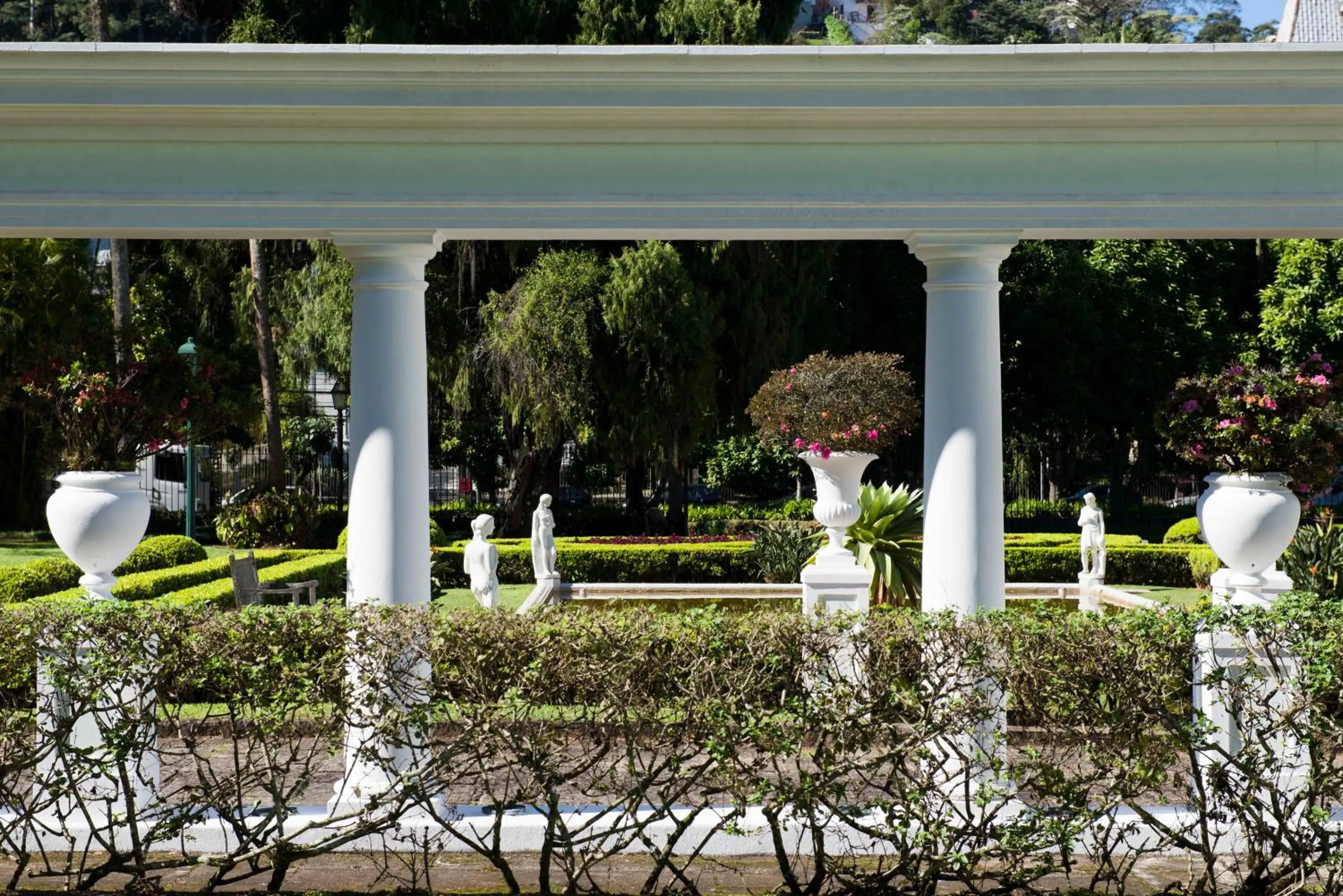 Garden in Hotel Solar do Império