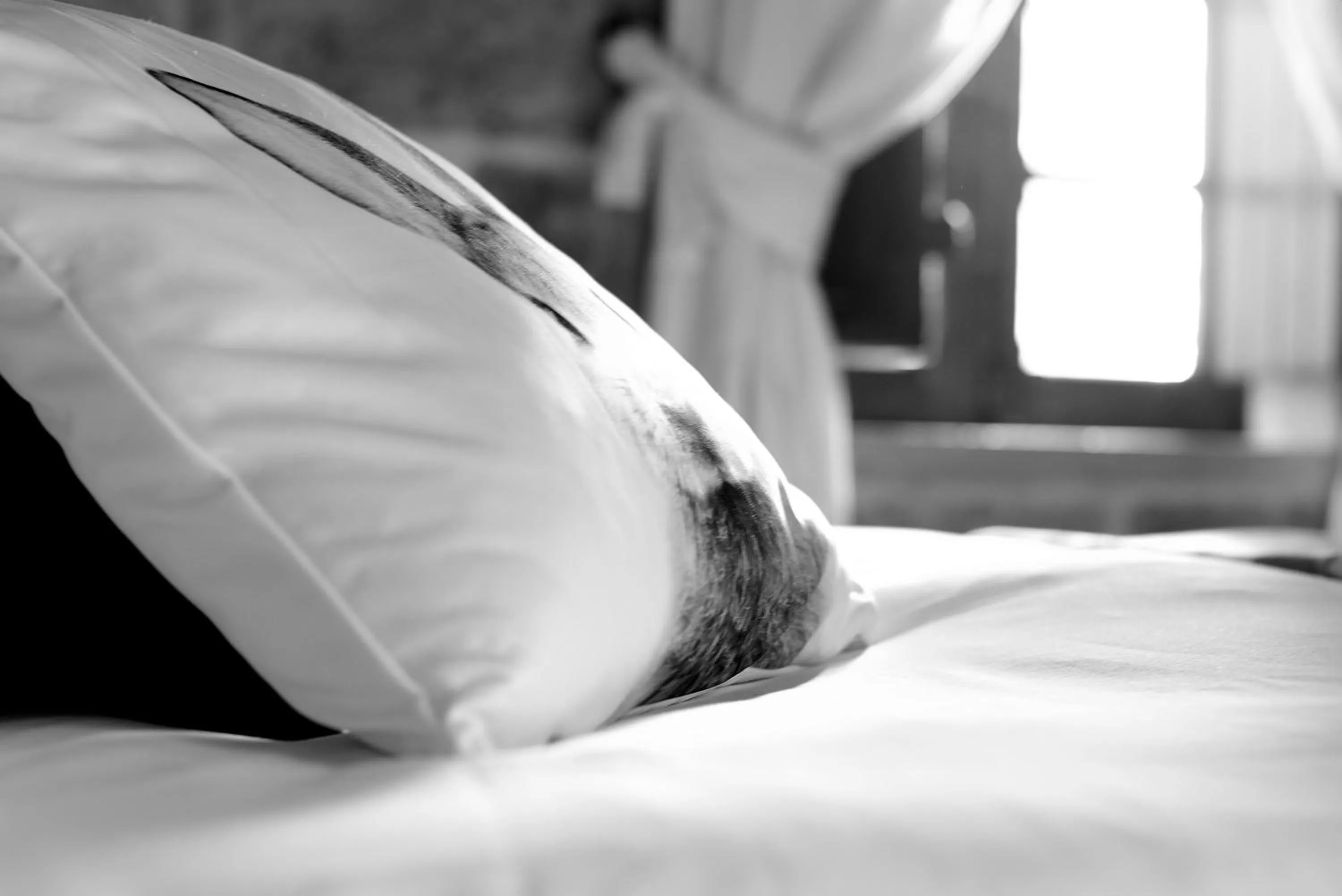 Bedroom, Bed in The Burrow Guest House