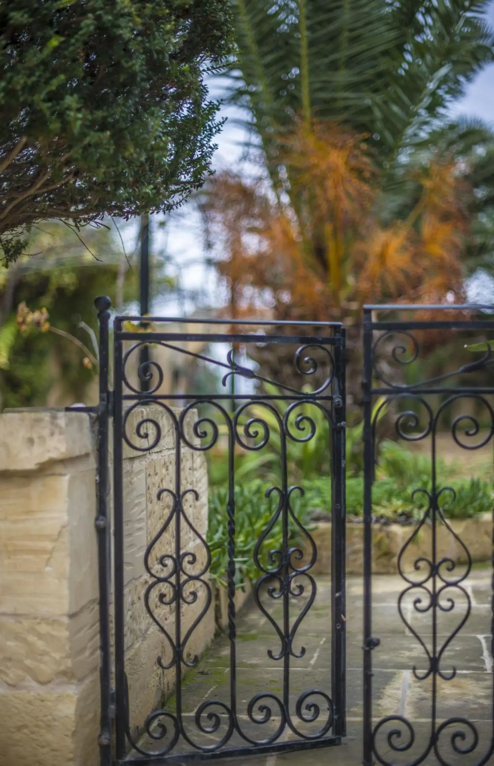 Other in Ta' Bertu Host Family Bed & Breakfast Other in Ta' Bertu Host Family Bed & Breakfast