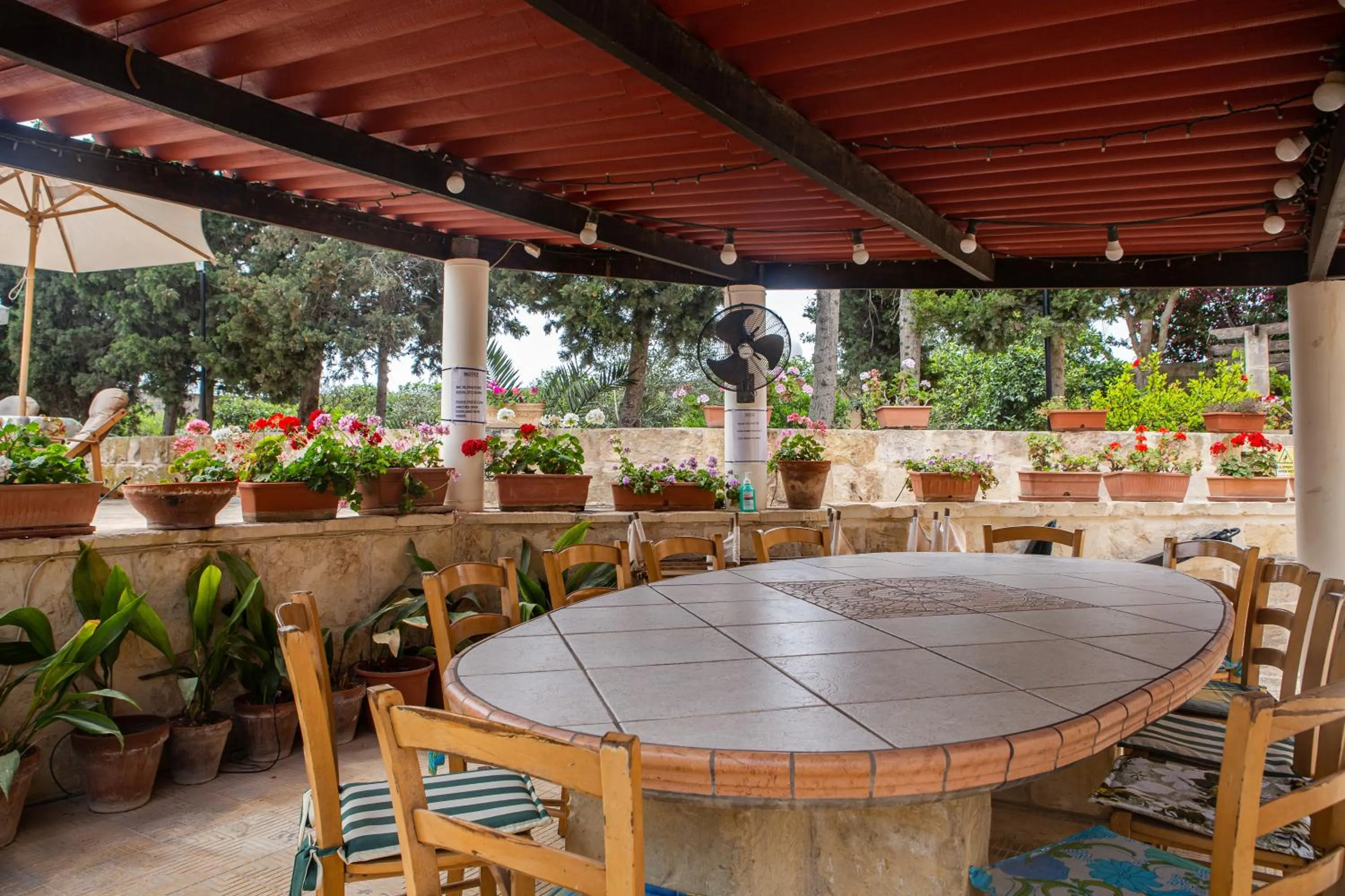 Garden in Ta' Bertu Host Family Bed & Breakfast