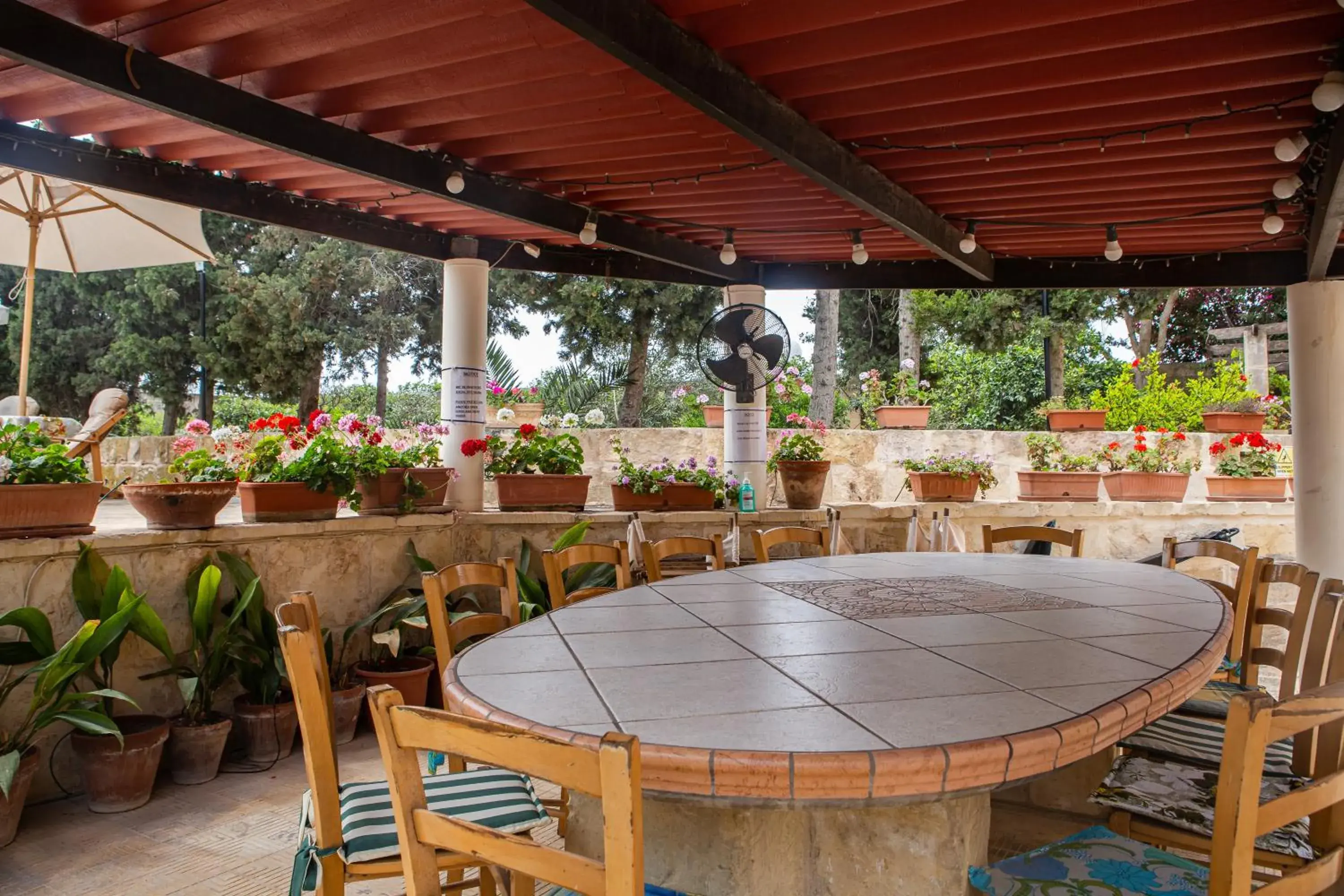 Garden in Ta' Bertu Host Family Bed & Breakfast Garden in Ta' Bertu Host Family Bed & Breakfast