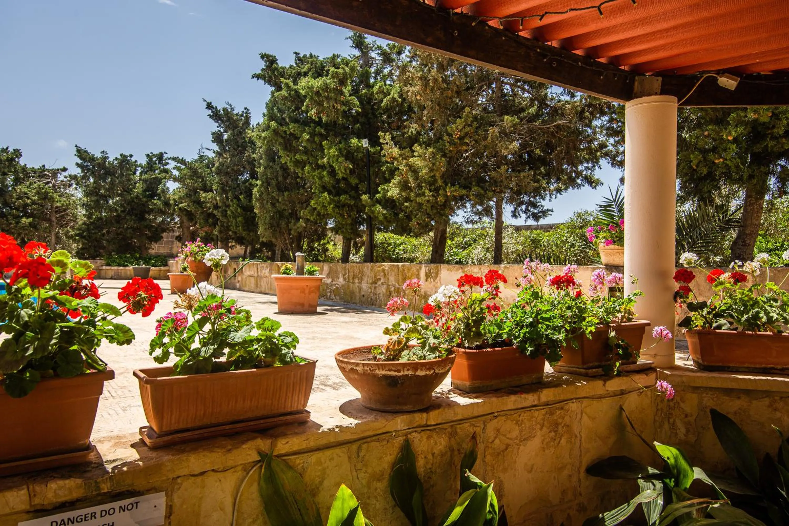 Garden in Ta' Bertu Host Family Bed & Breakfast