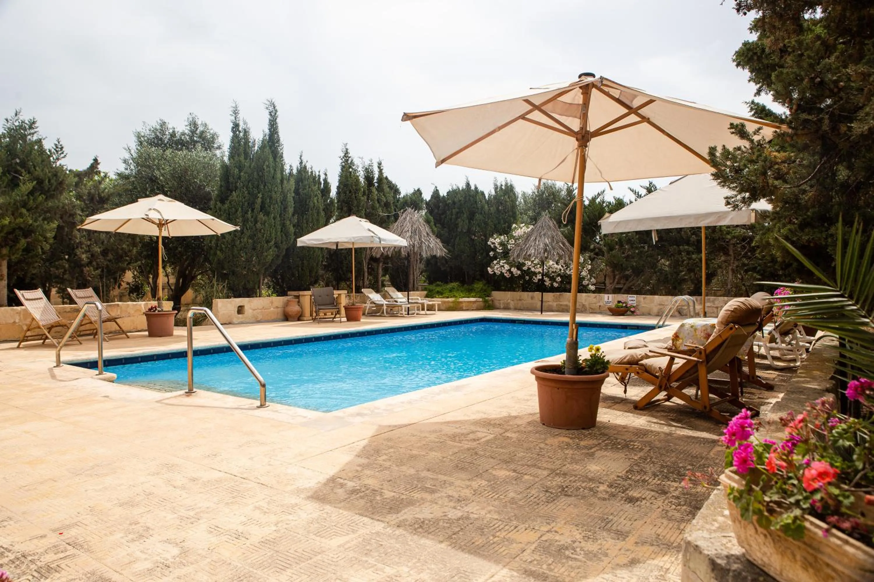 Swimming pool in Ta' Bertu Host Family Bed & Breakfast