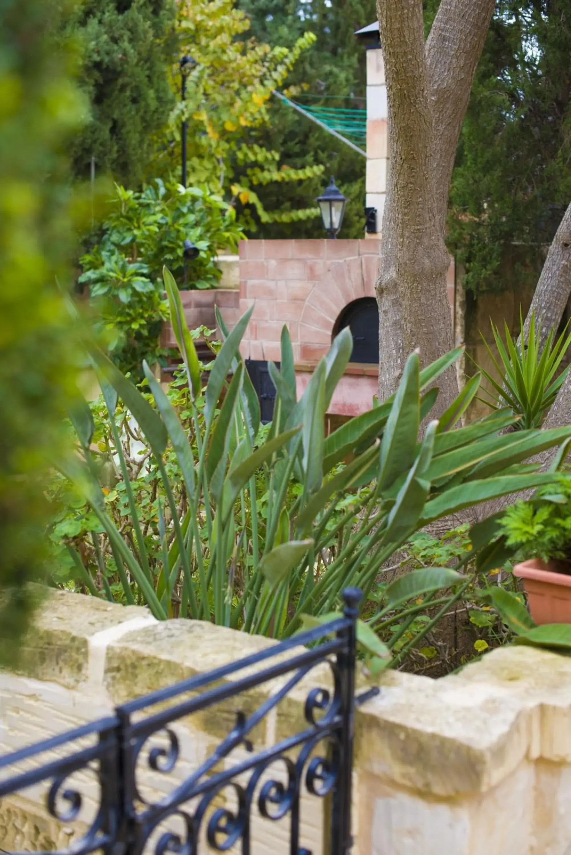 Other in Ta' Bertu Host Family Bed & Breakfast Other in Ta' Bertu Host Family Bed & Breakfast