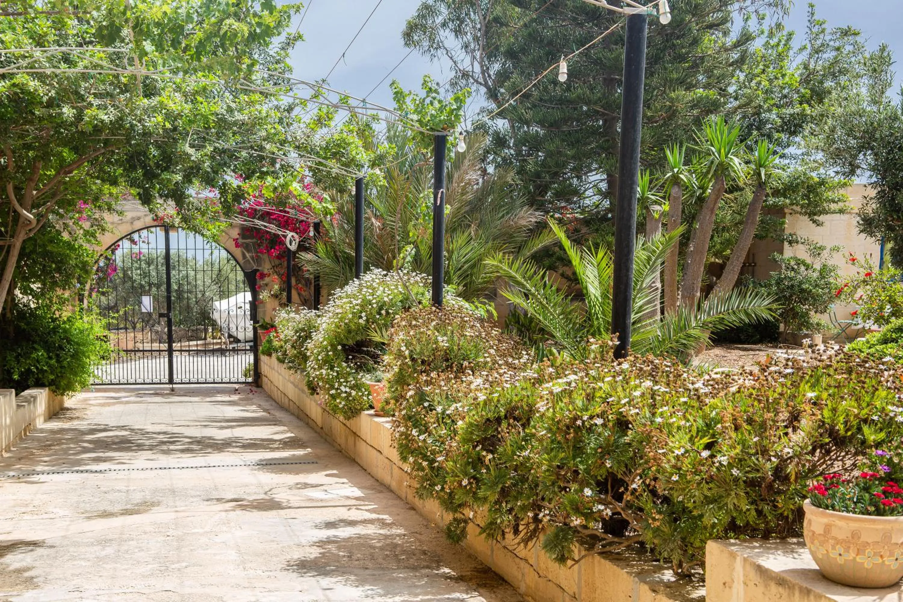 Garden in Ta' Bertu Host Family Bed & Breakfast