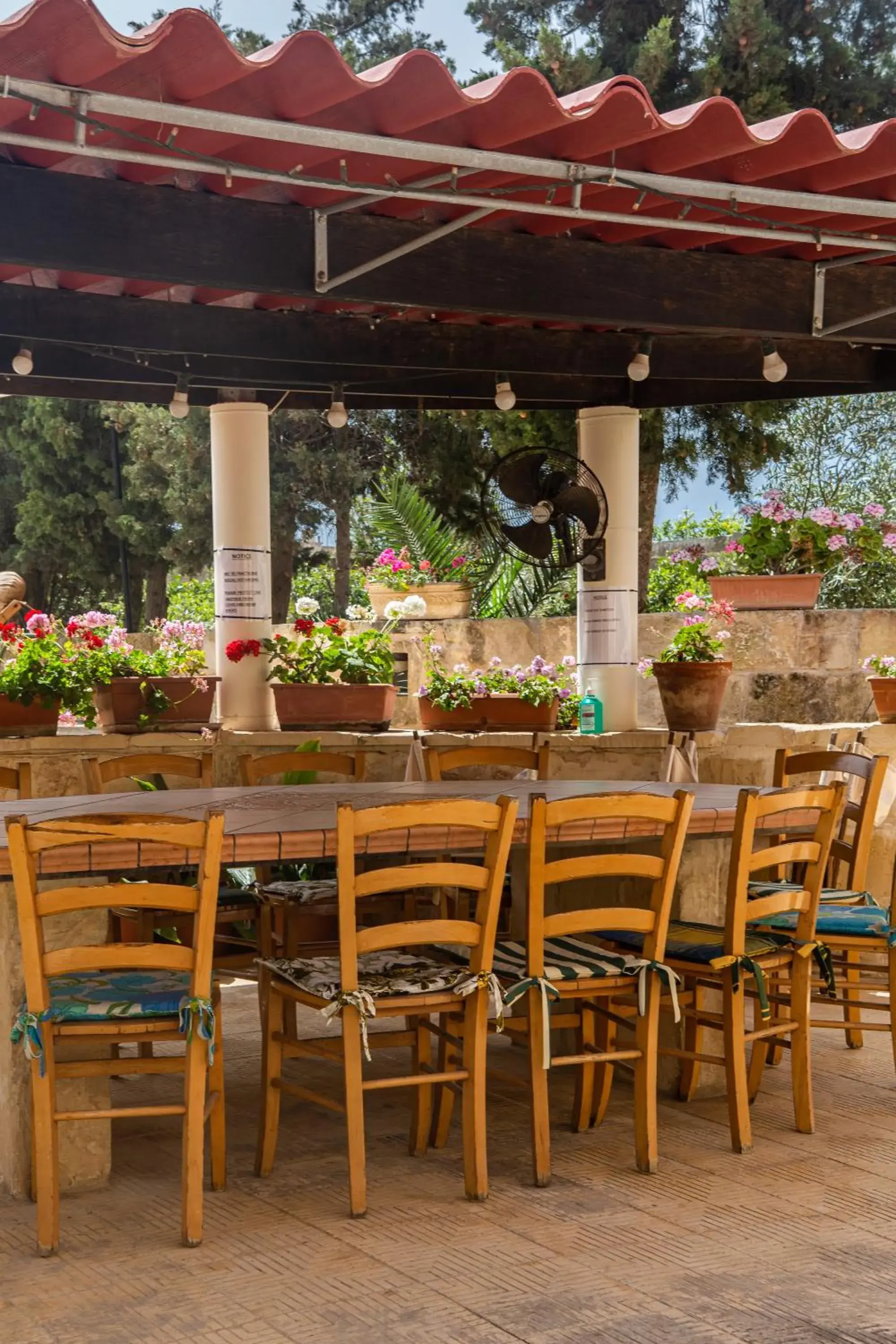 Garden in Ta' Bertu Host Family Bed & Breakfast Garden in Ta' Bertu Host Family Bed & Breakfast