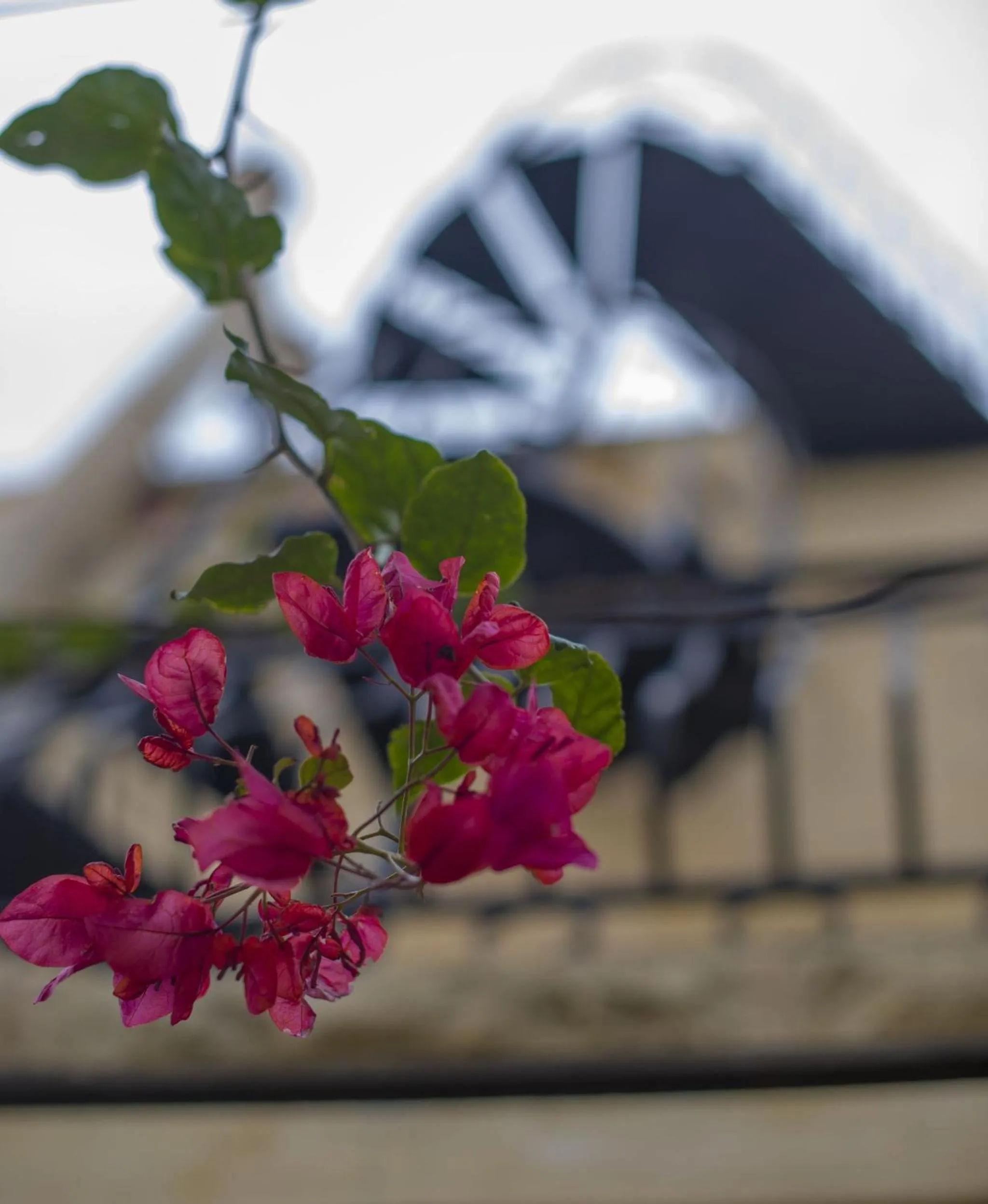 Other in Ta' Bertu Host Family Bed & Breakfast